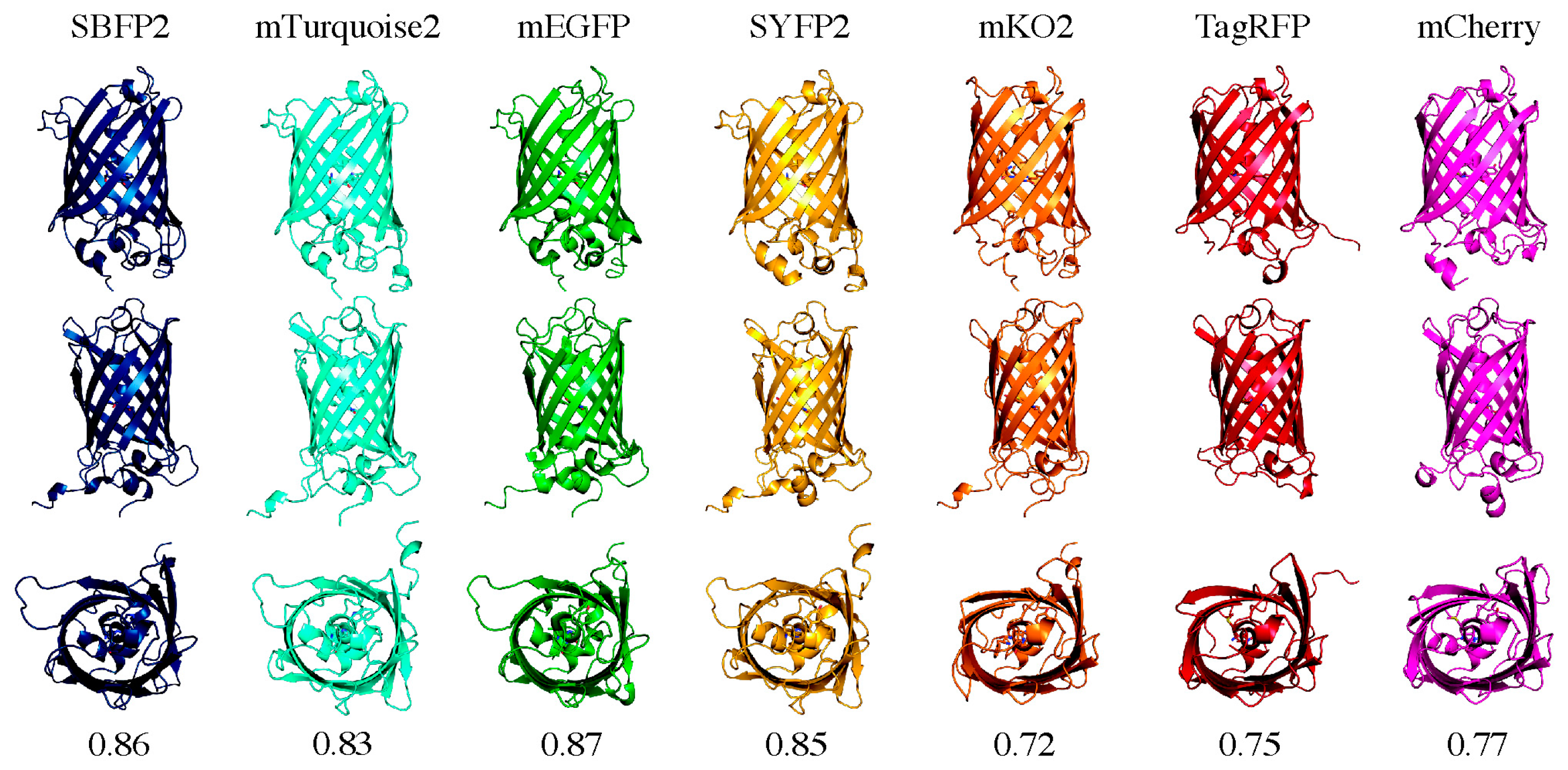 Ijms 18 01557 g008 550