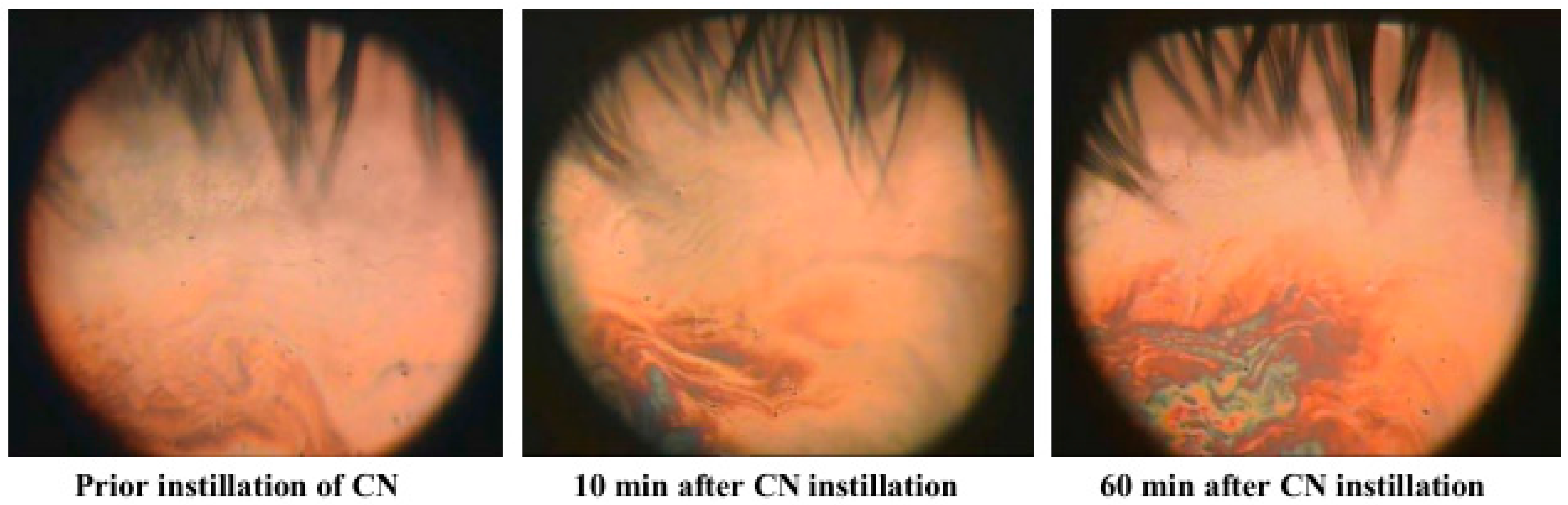 Ijms 18 01558 g004 550