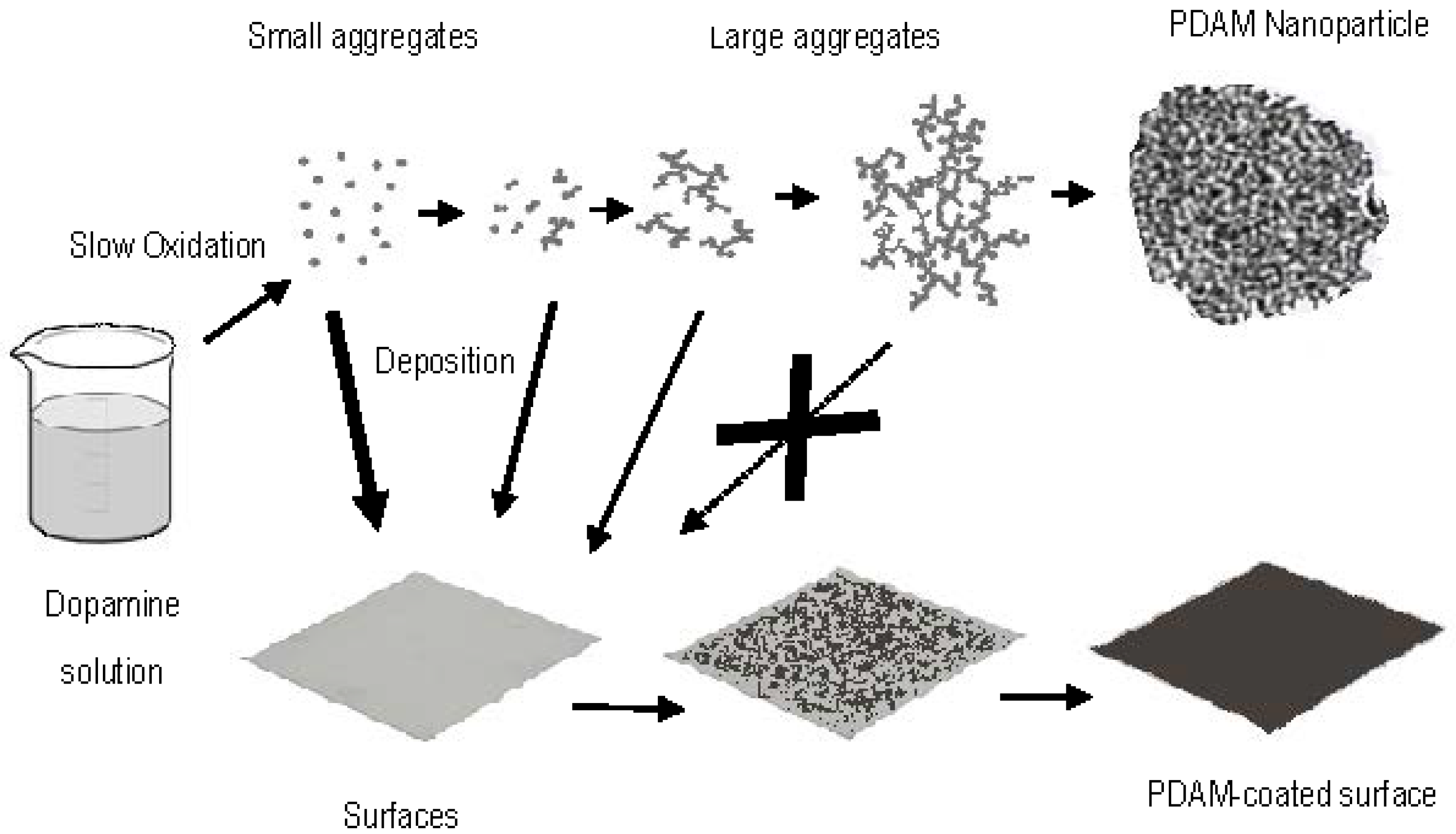 Ijms 18 01561 g003 550