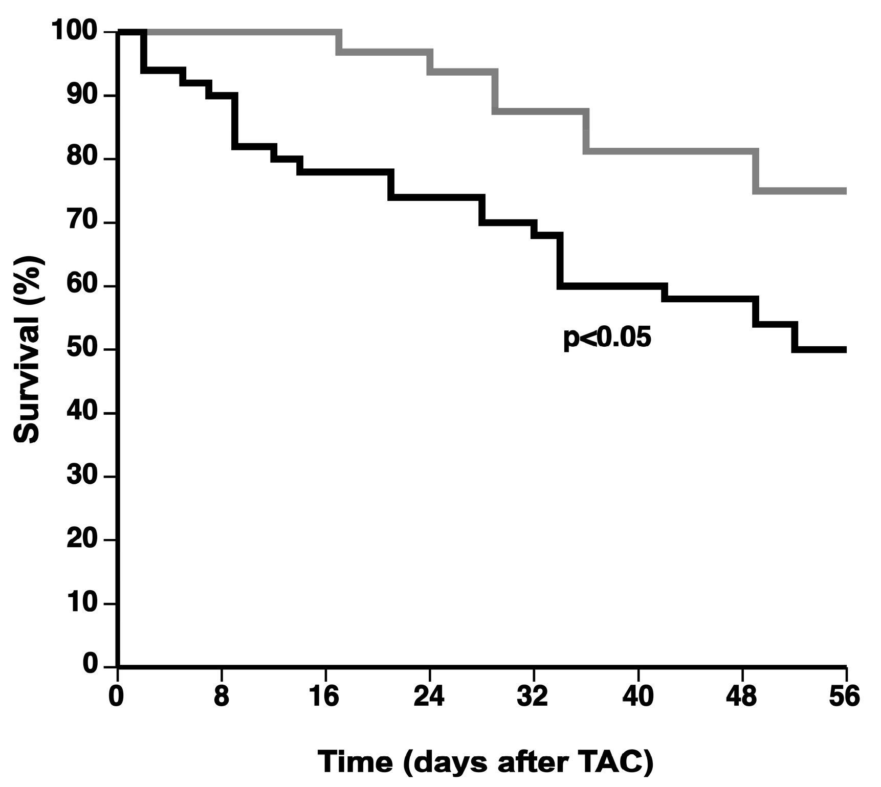 Ijms 18 01565 g001 550