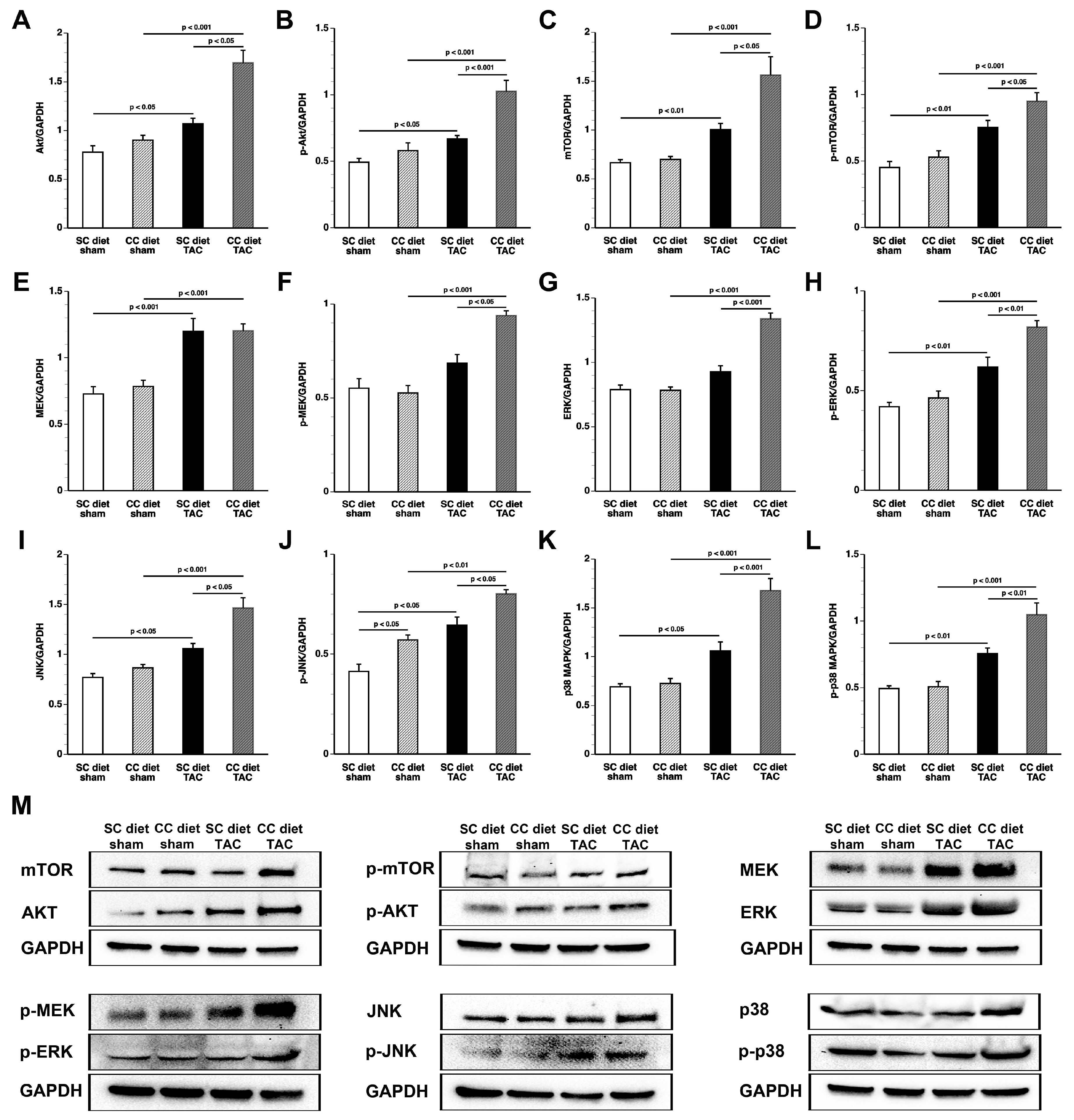 Ijms 18 01565 g004 550