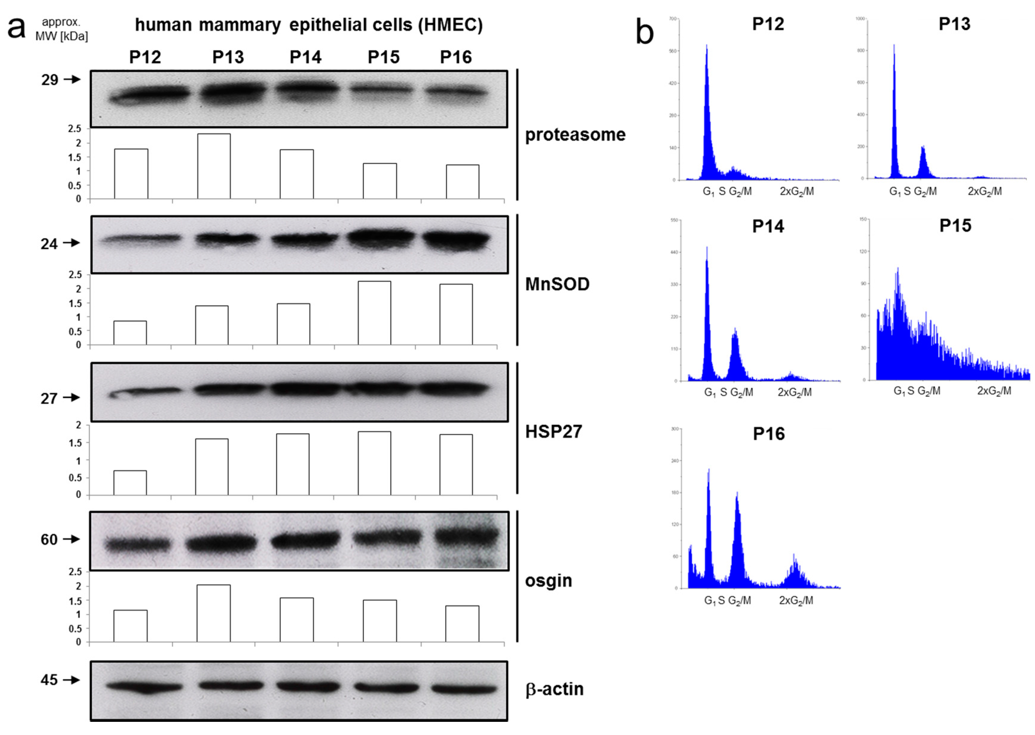 Ijms 18 01574 g003