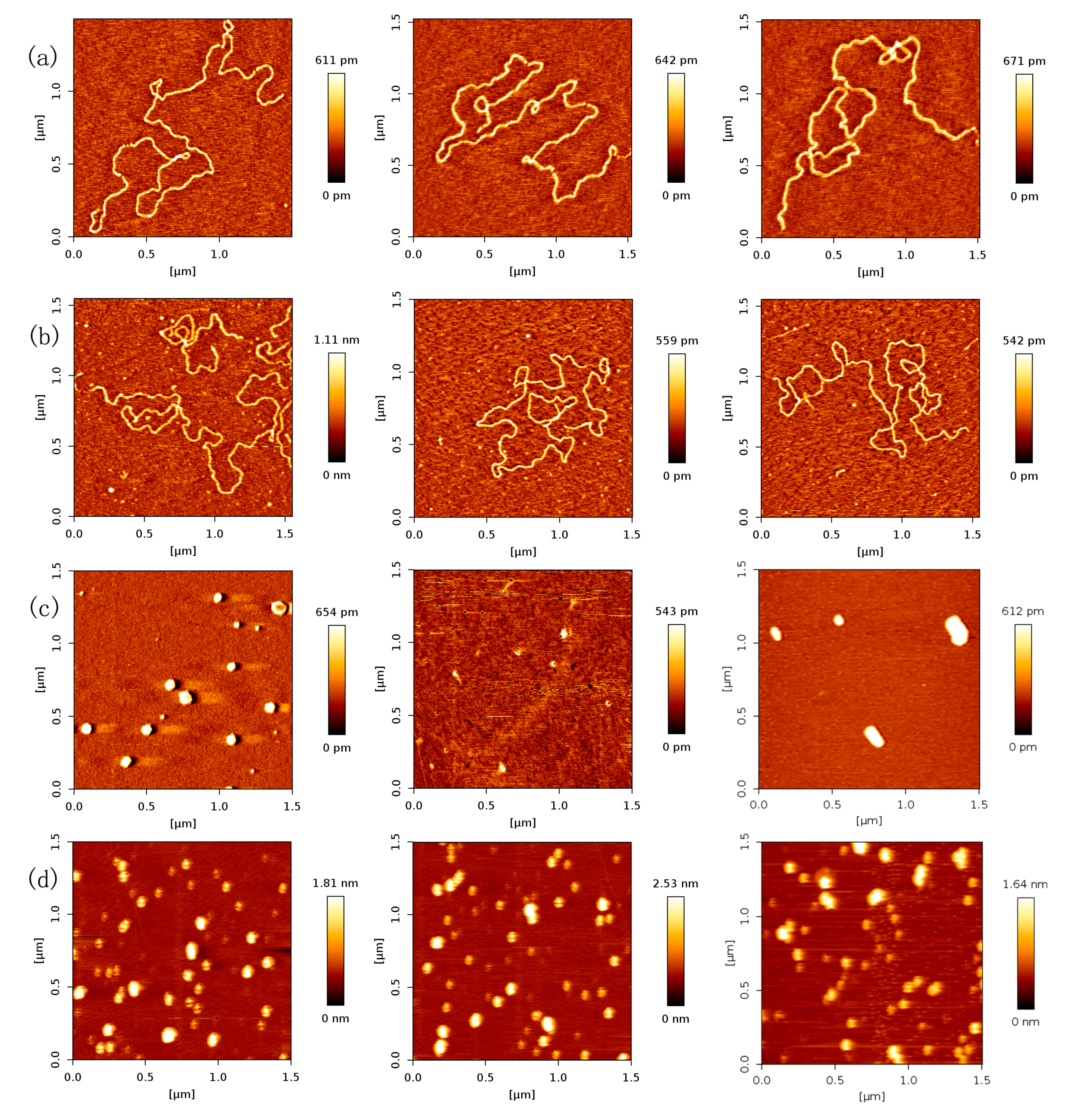 Ijms 18 01585 g001 550