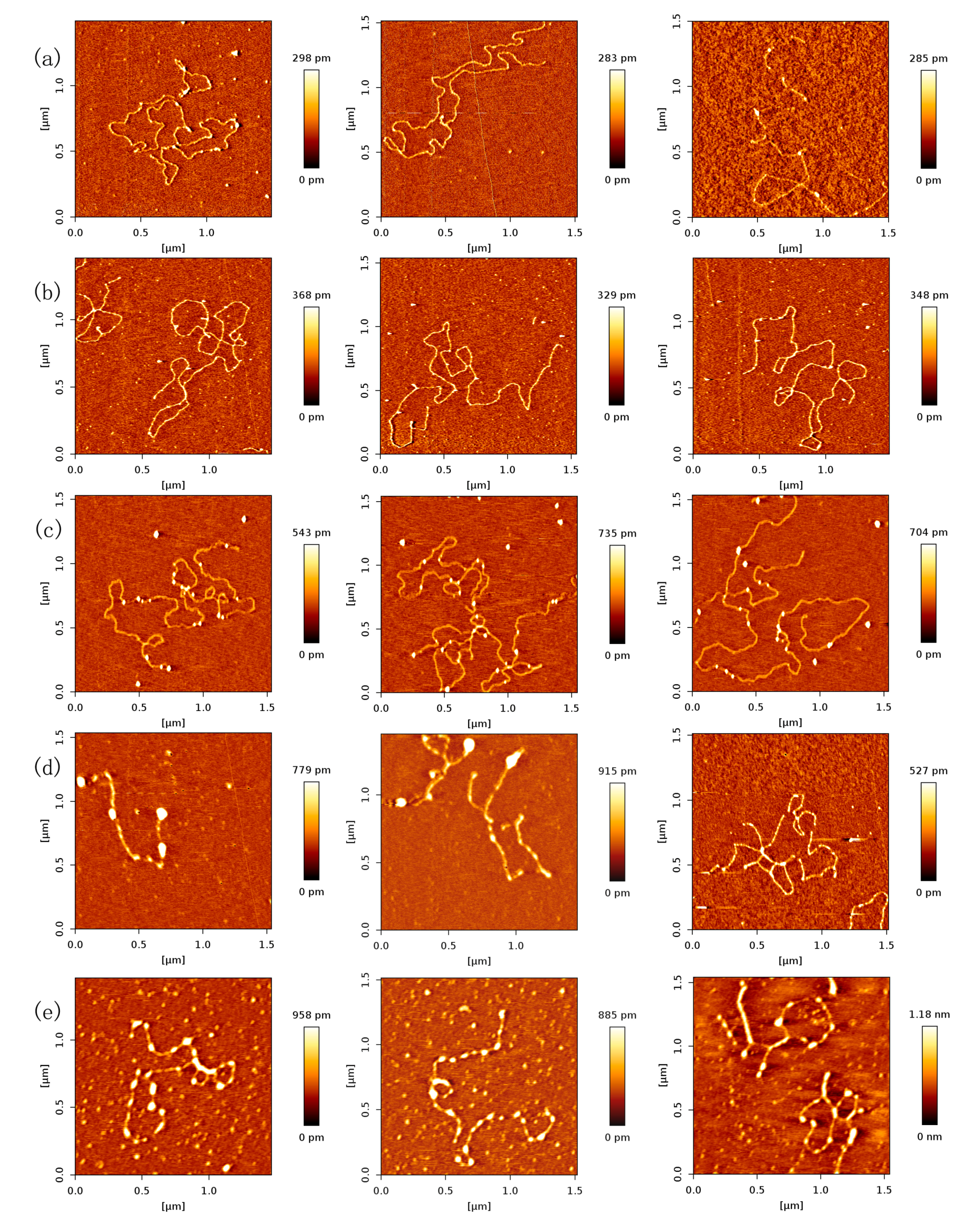 Ijms 18 01585 g002 550