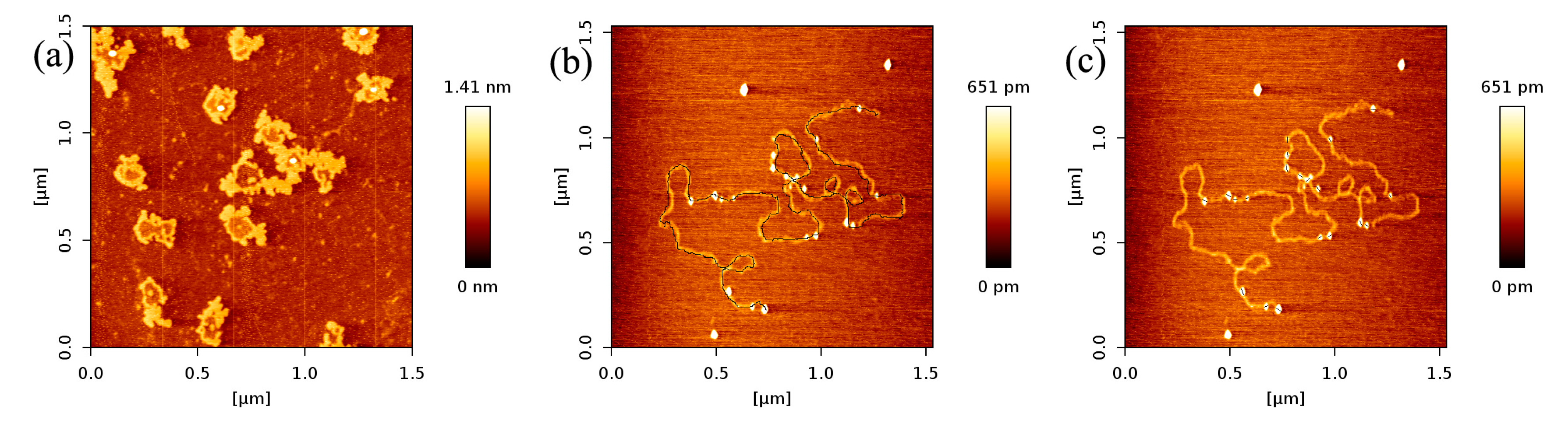 Ijms 18 01585 g003 550