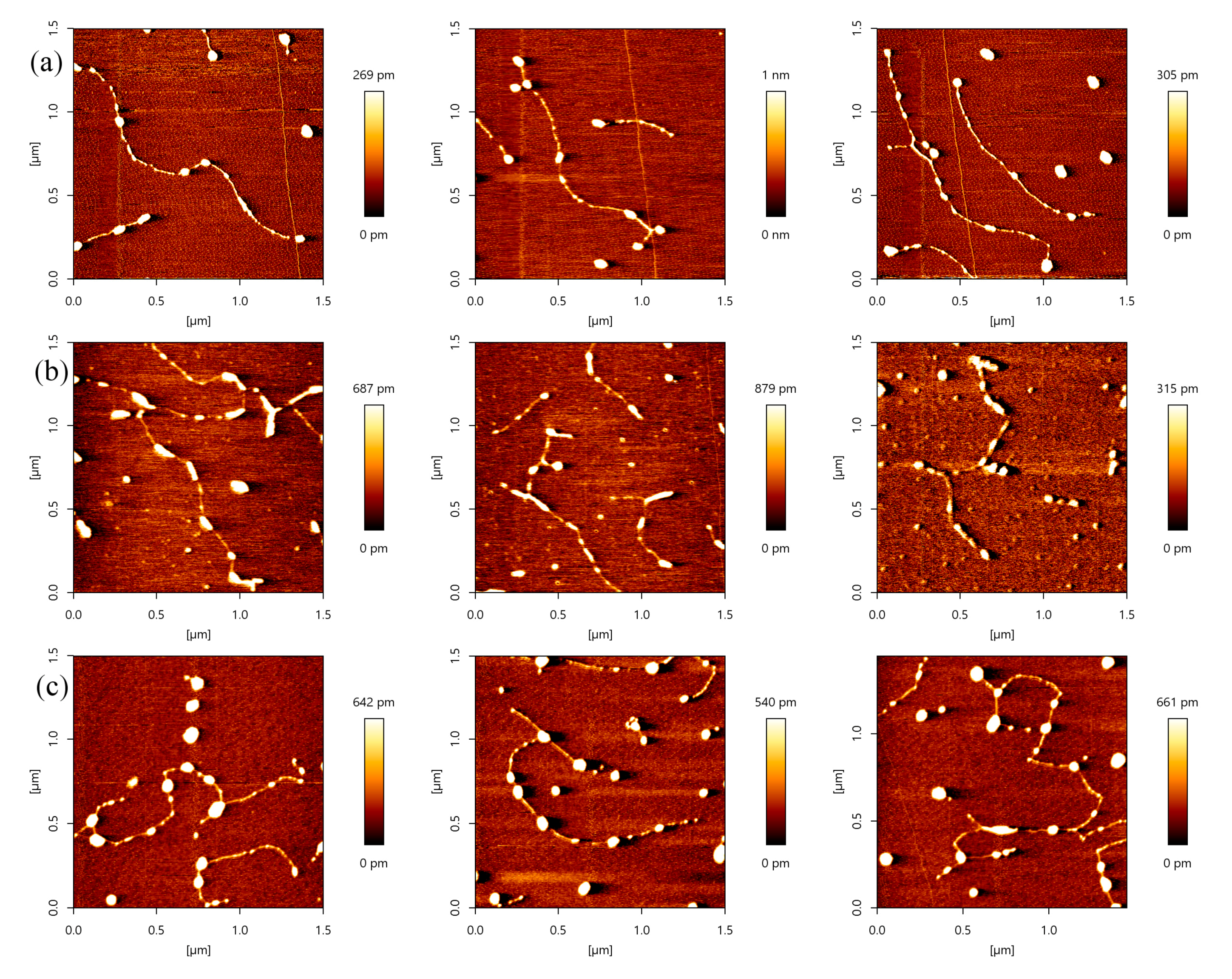 Ijms 18 01585 g004 550