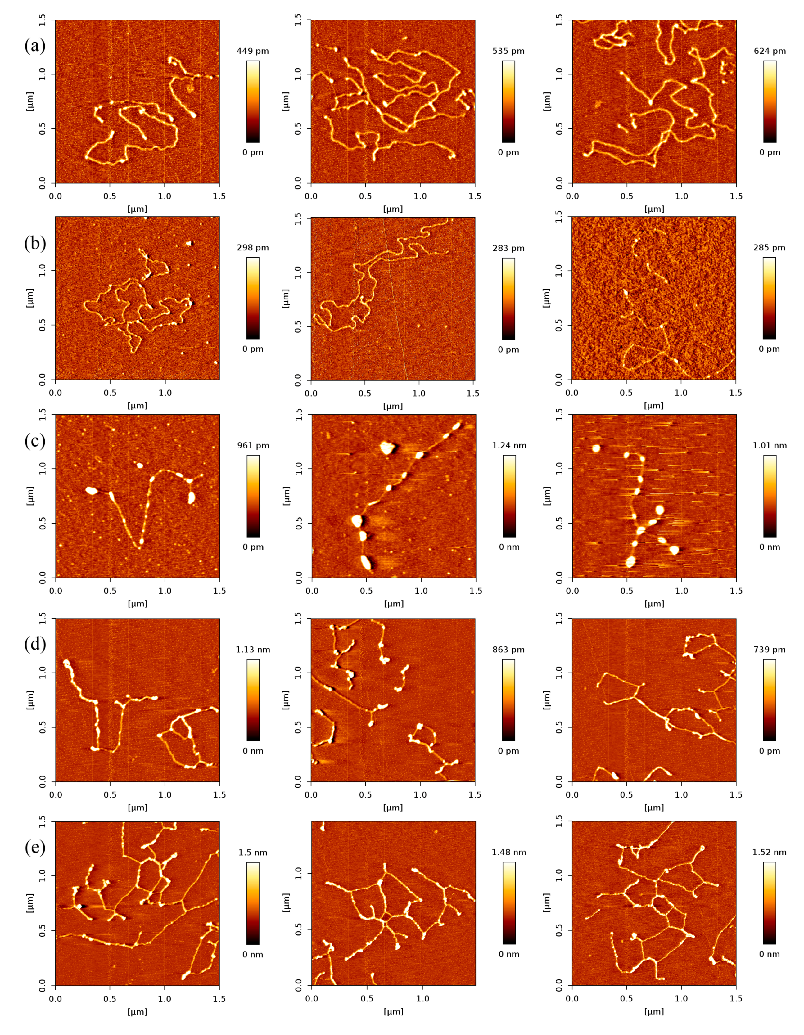 Ijms 18 01585 g005 550