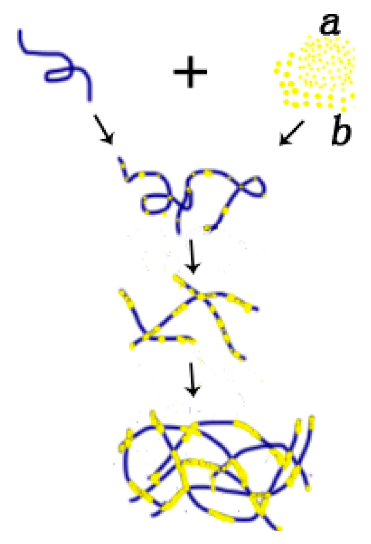 Ijms 18 01585 g006 550