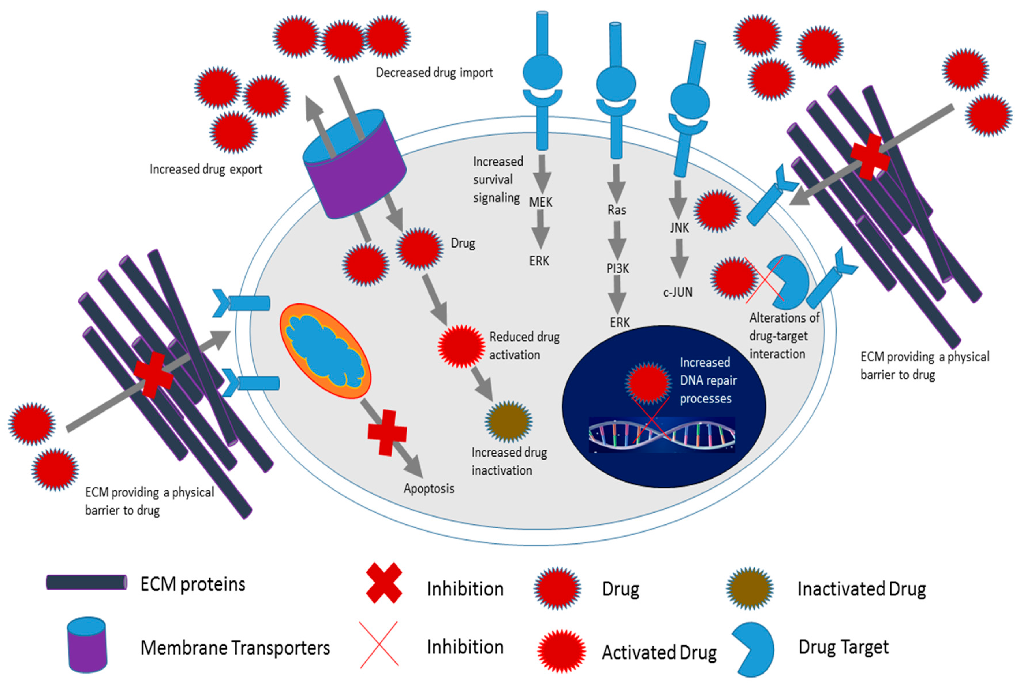 Ijms 18 01586 g001 Ijms 18 01586 g001