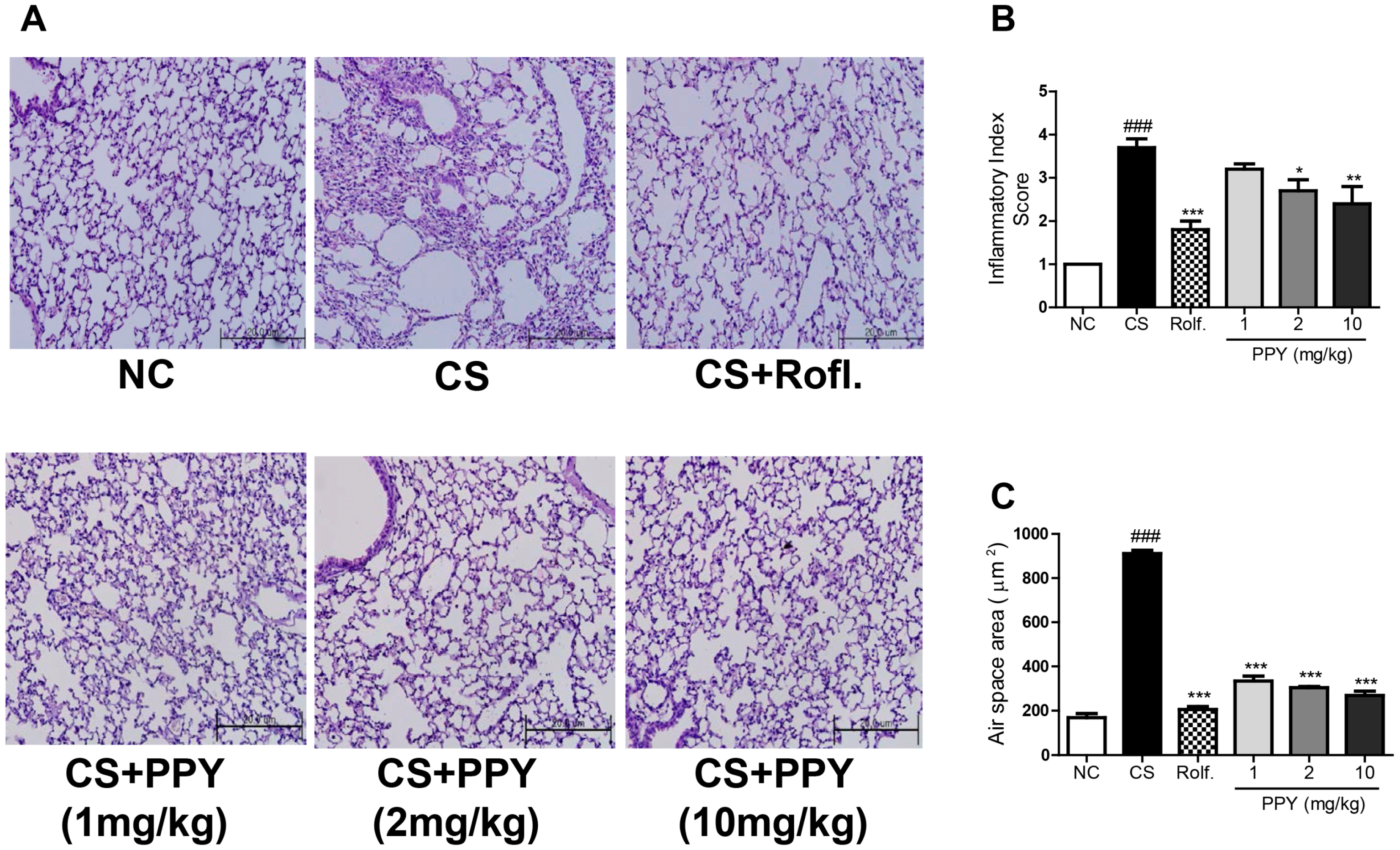 Ijms 18 01602 g005 Ijms 18 01602 g005