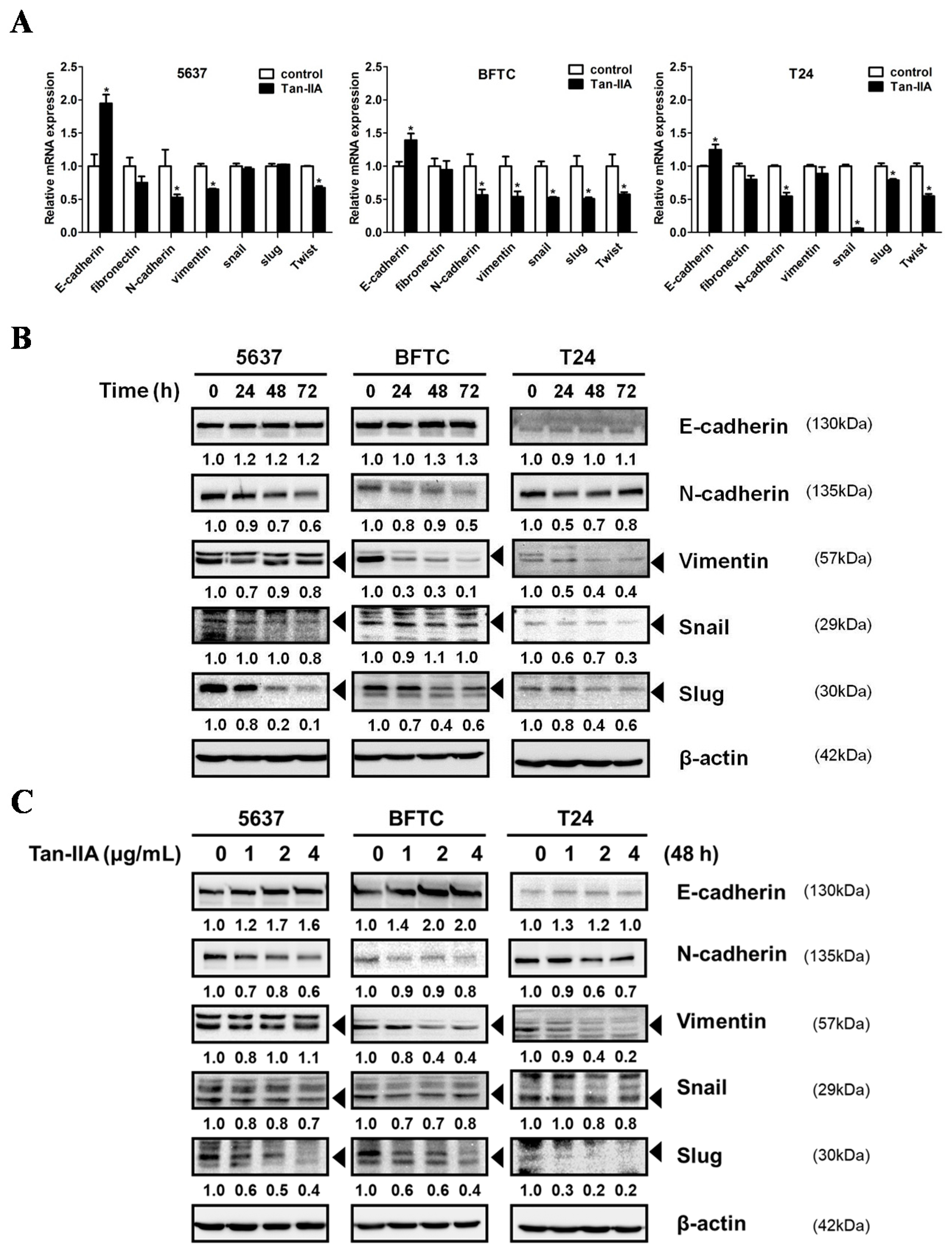 Ijms 18 01616 g002