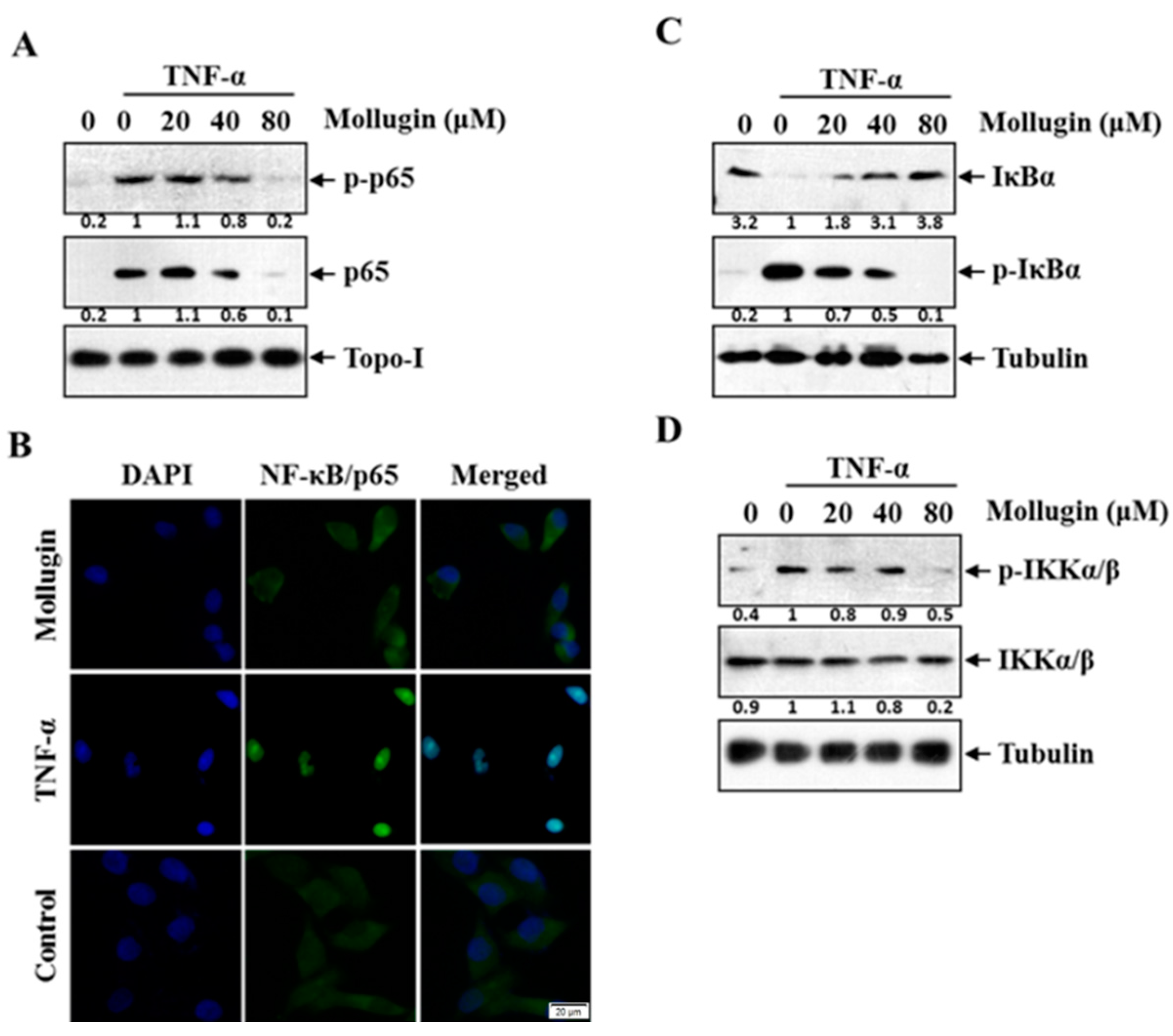 Ijms 18 01619 g002