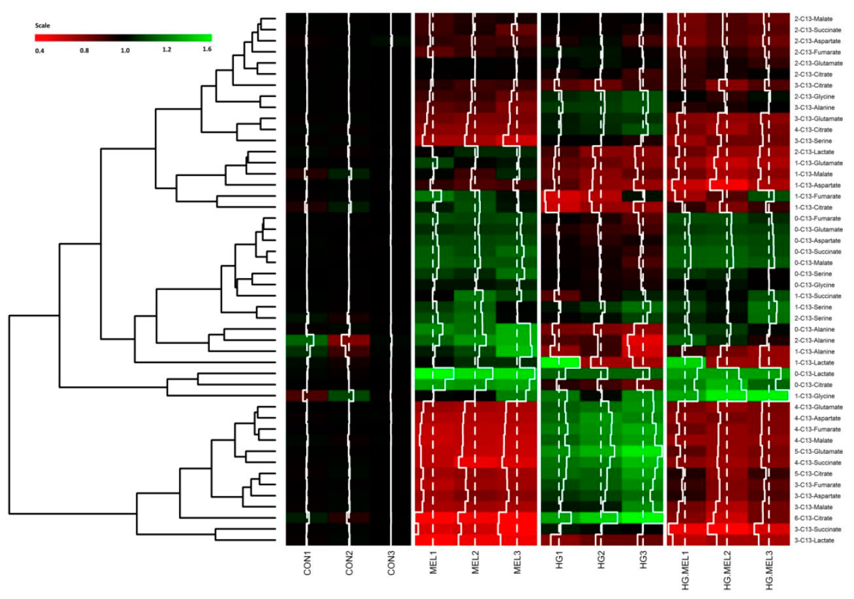 Ijms 18 01620 g004 550