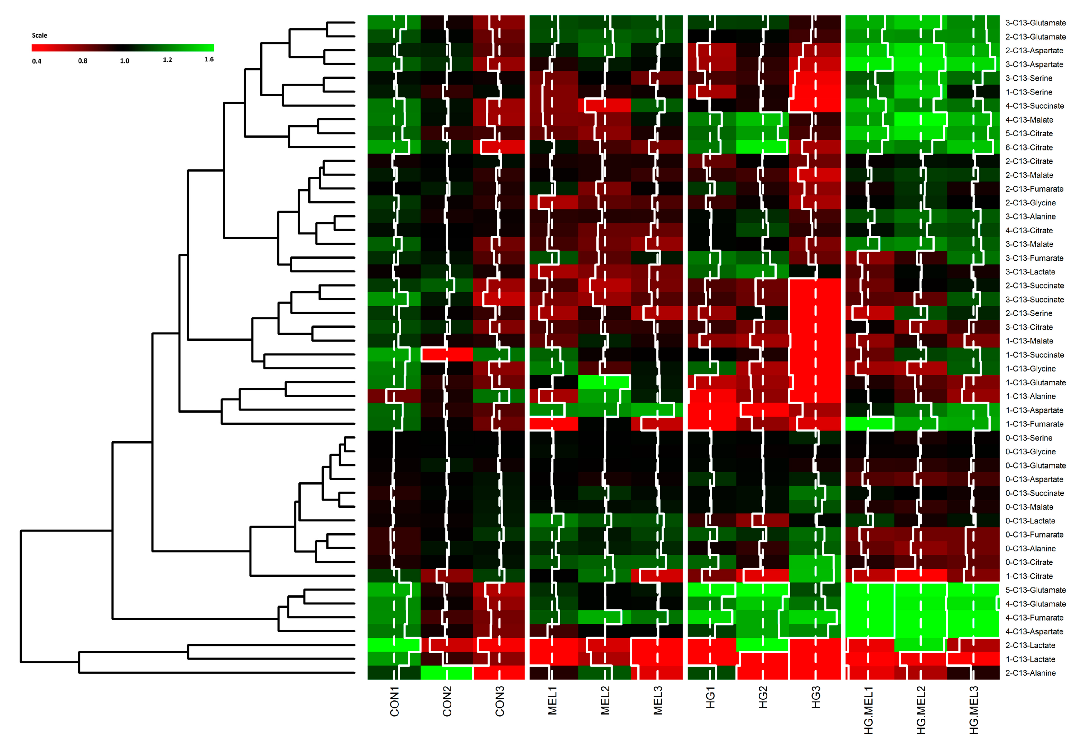 Ijms 18 01620 g006 550
