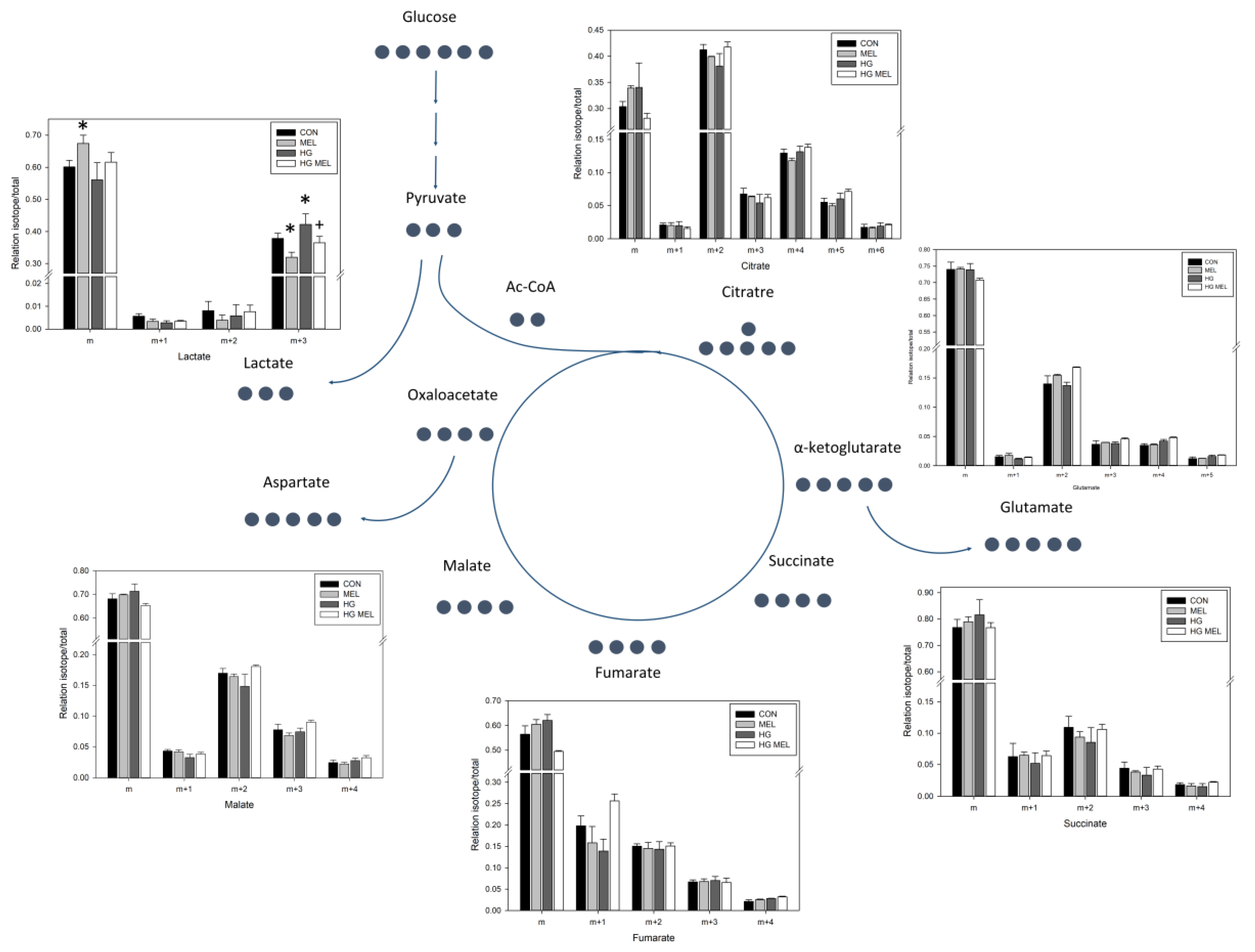 Ijms 18 01620 g007 550