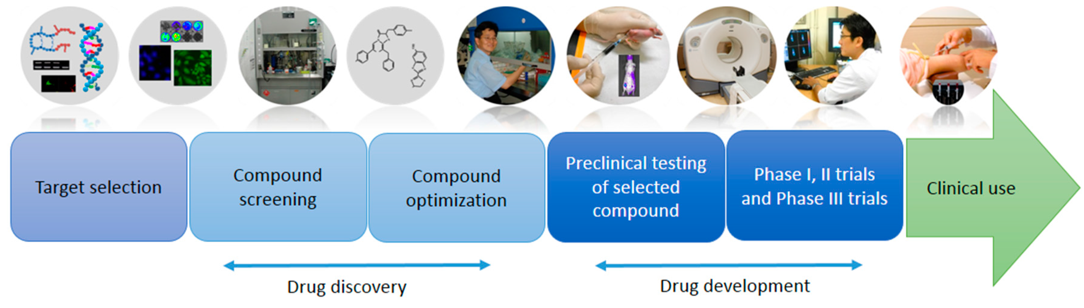 free the analytic field a clinical concept