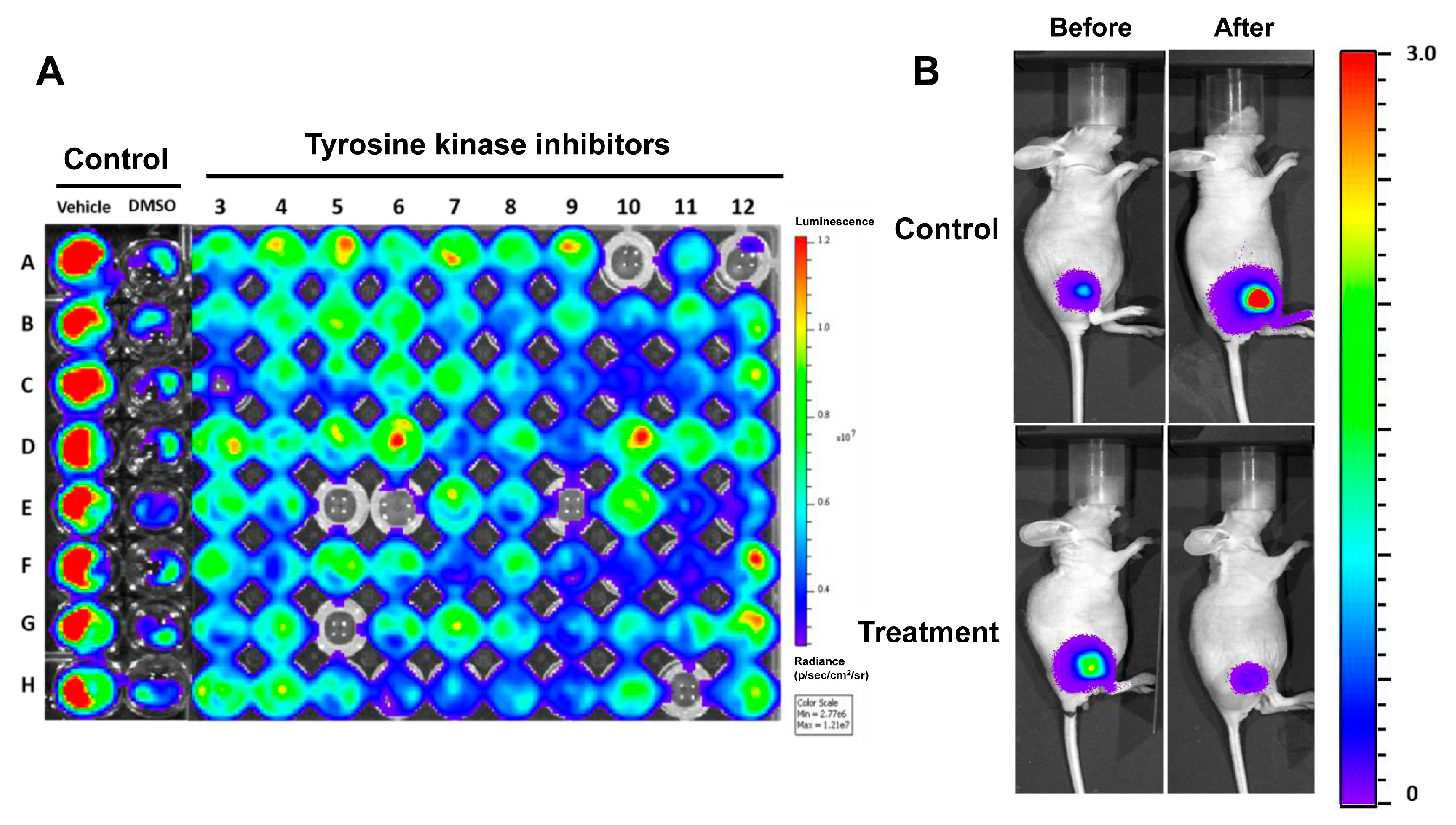 Ijms 18 01639 g003 Ijms 18 01639 g003