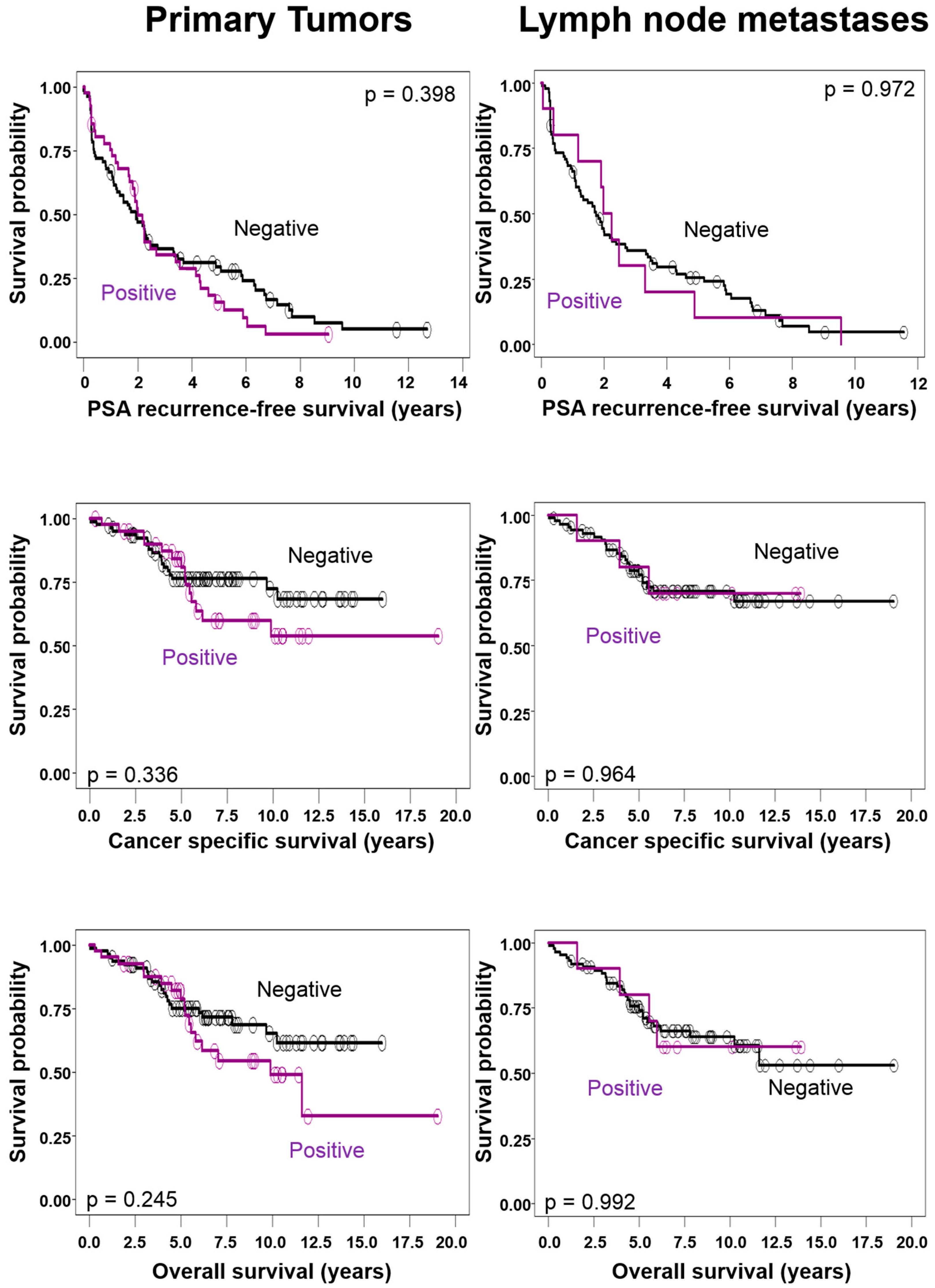 Ijms 18 01640 g002 Ijms 18 01640 g002