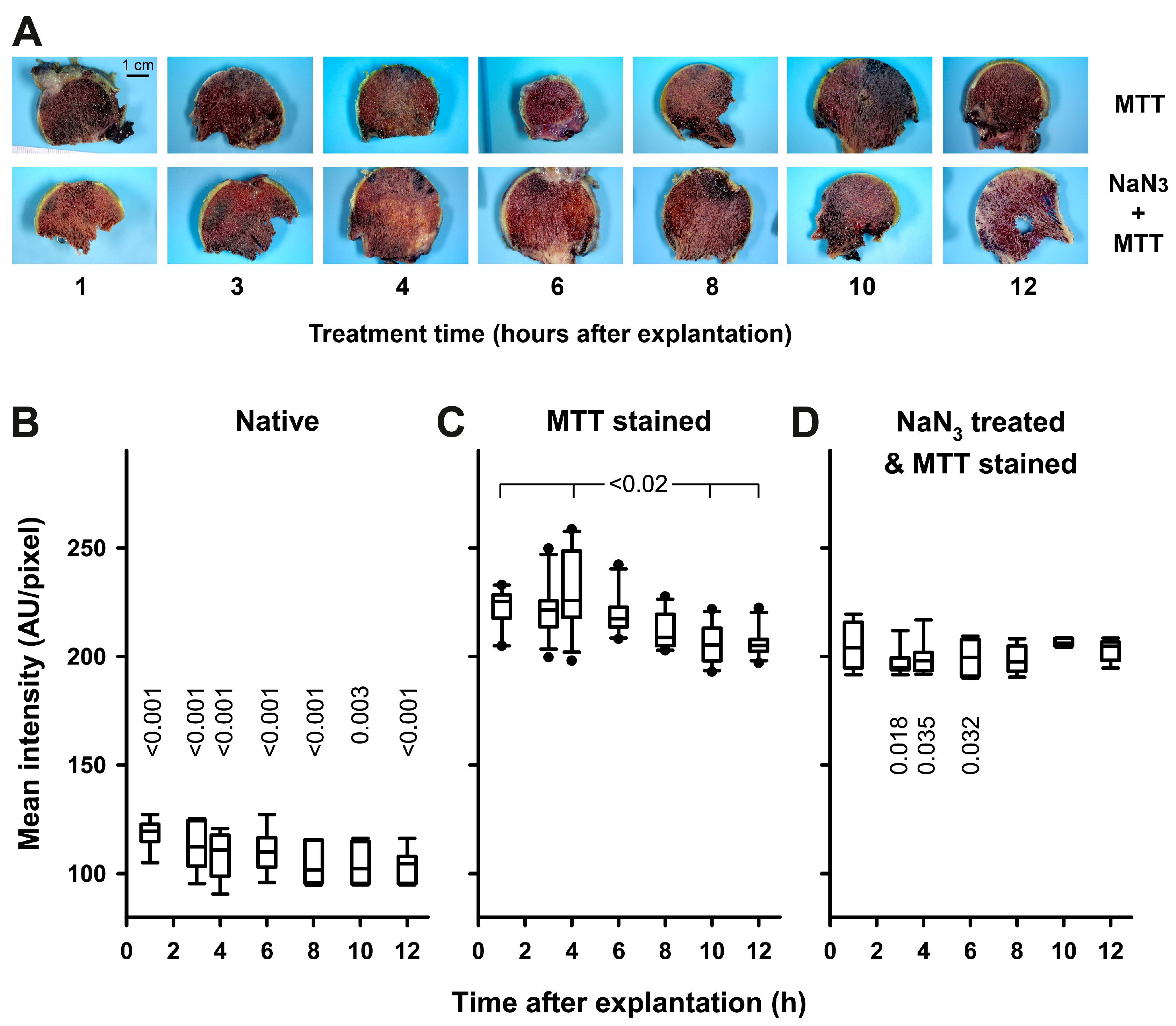 Ijms 18 01646 g004 550