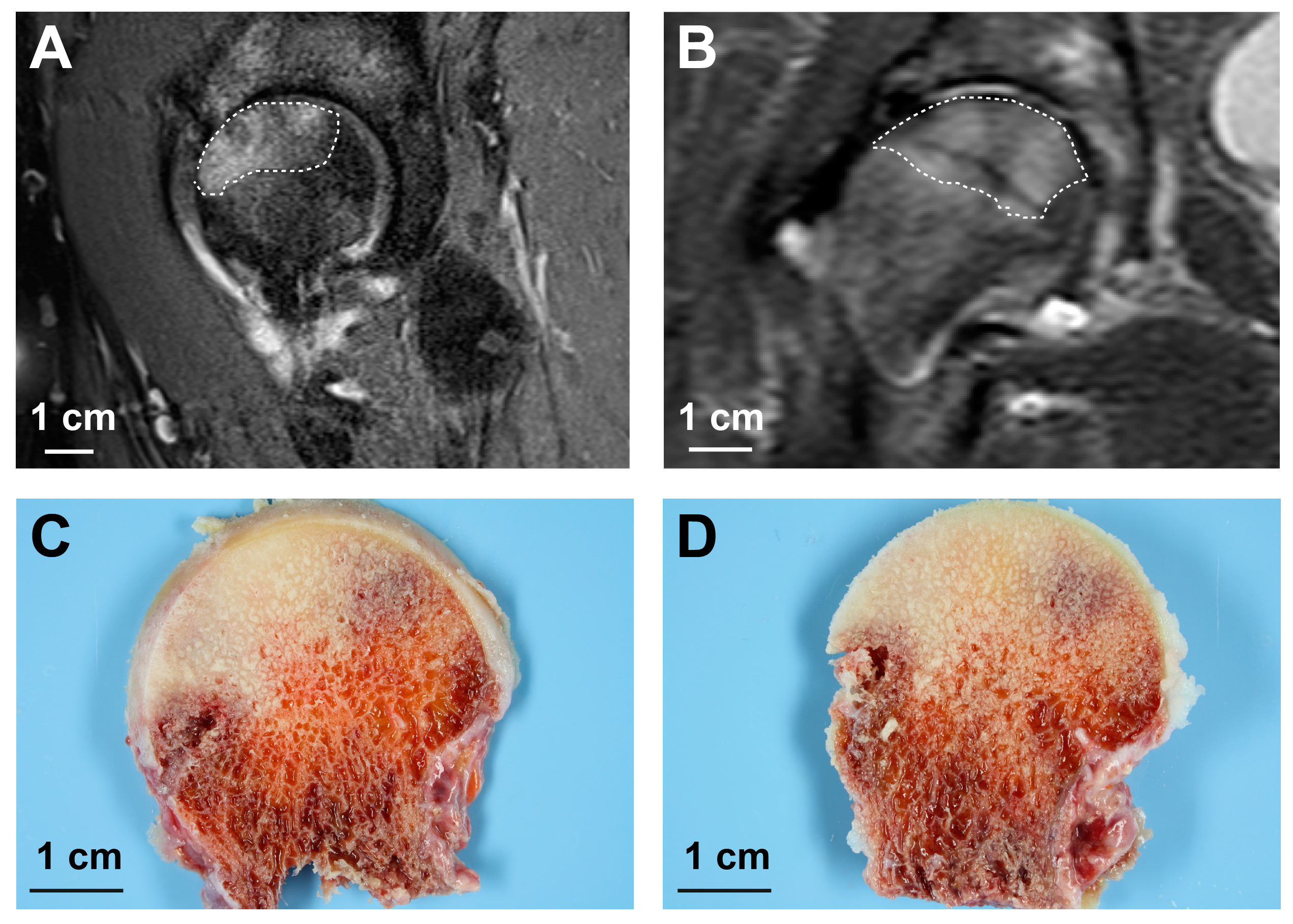 Ijms 18 01646 g006 550