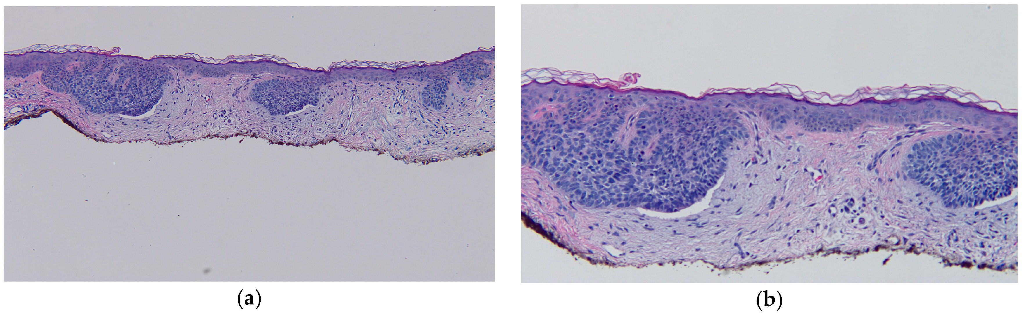 Ijms 18 01663 g002 550