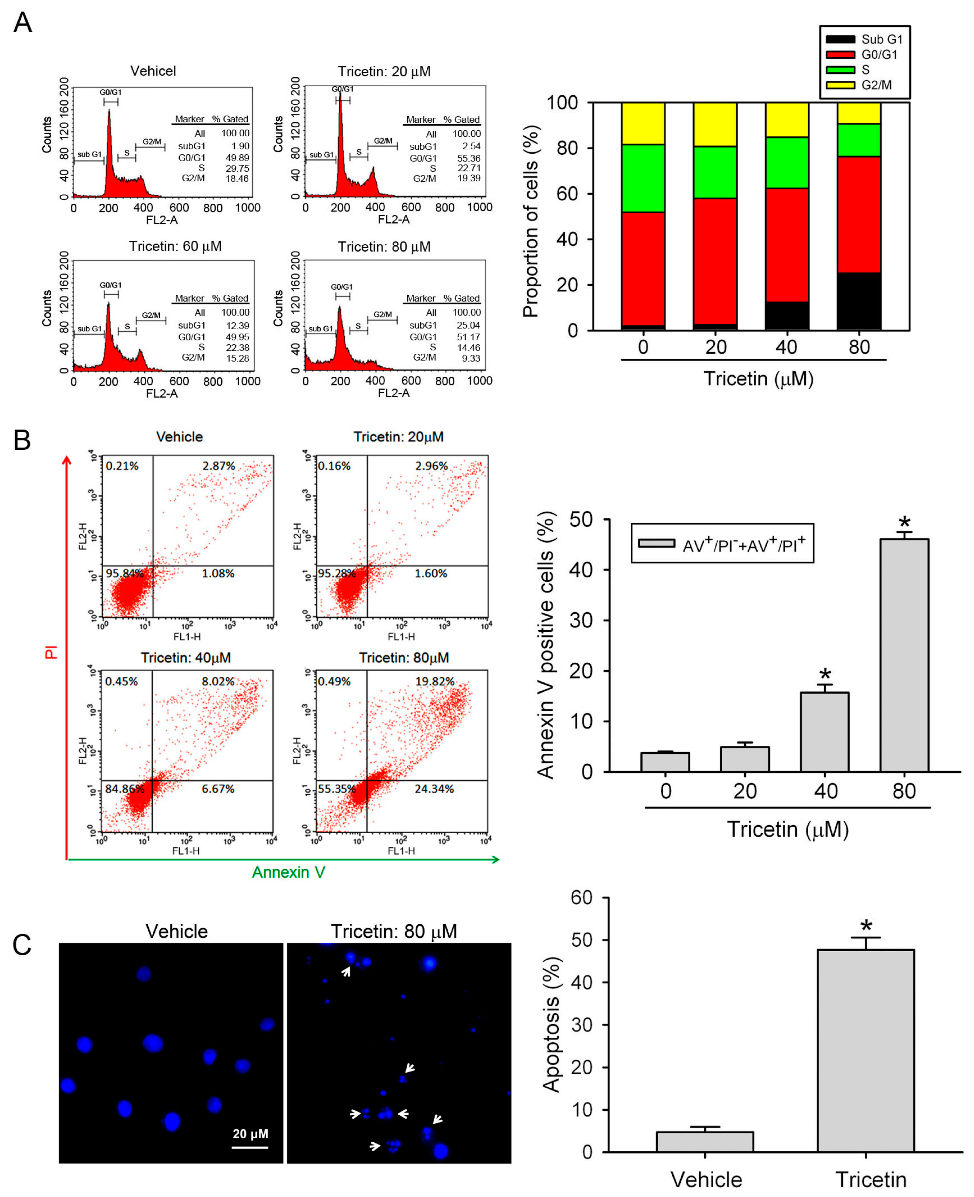 Ijms 18 01667 g002