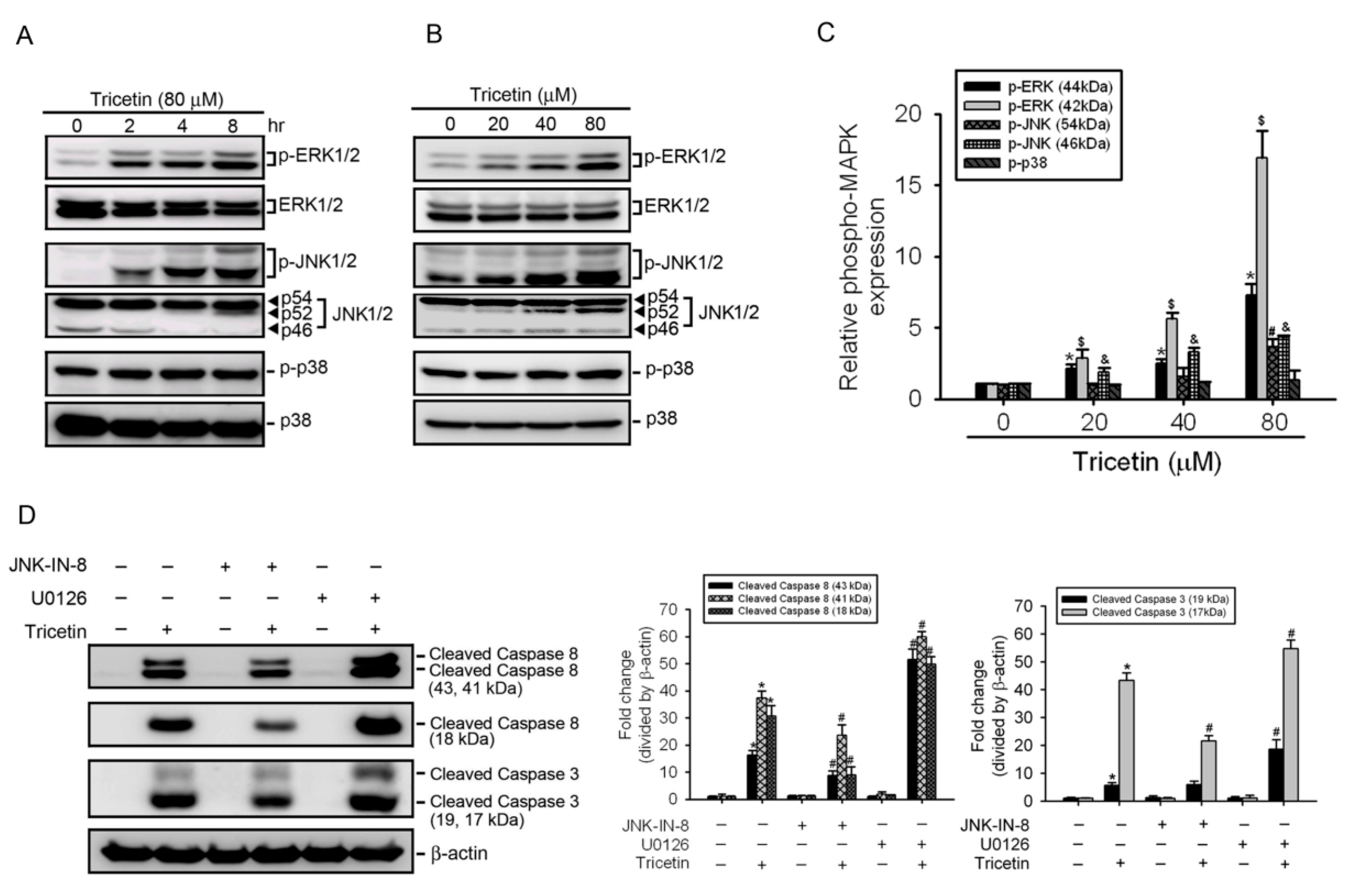 Ijms 18 01667 g004a