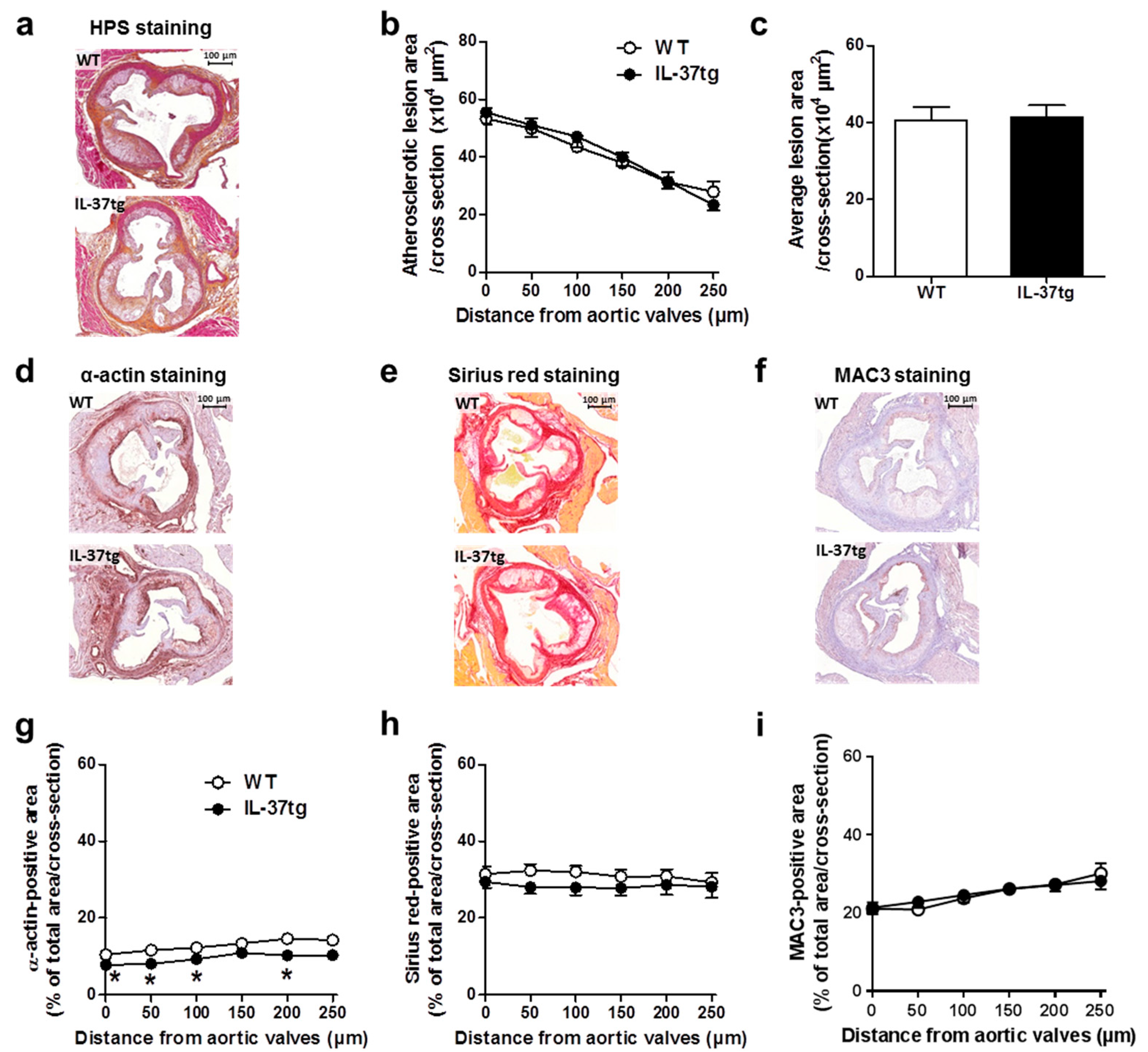Ijms 18 01672 g004 Ijms 18 01672 g004