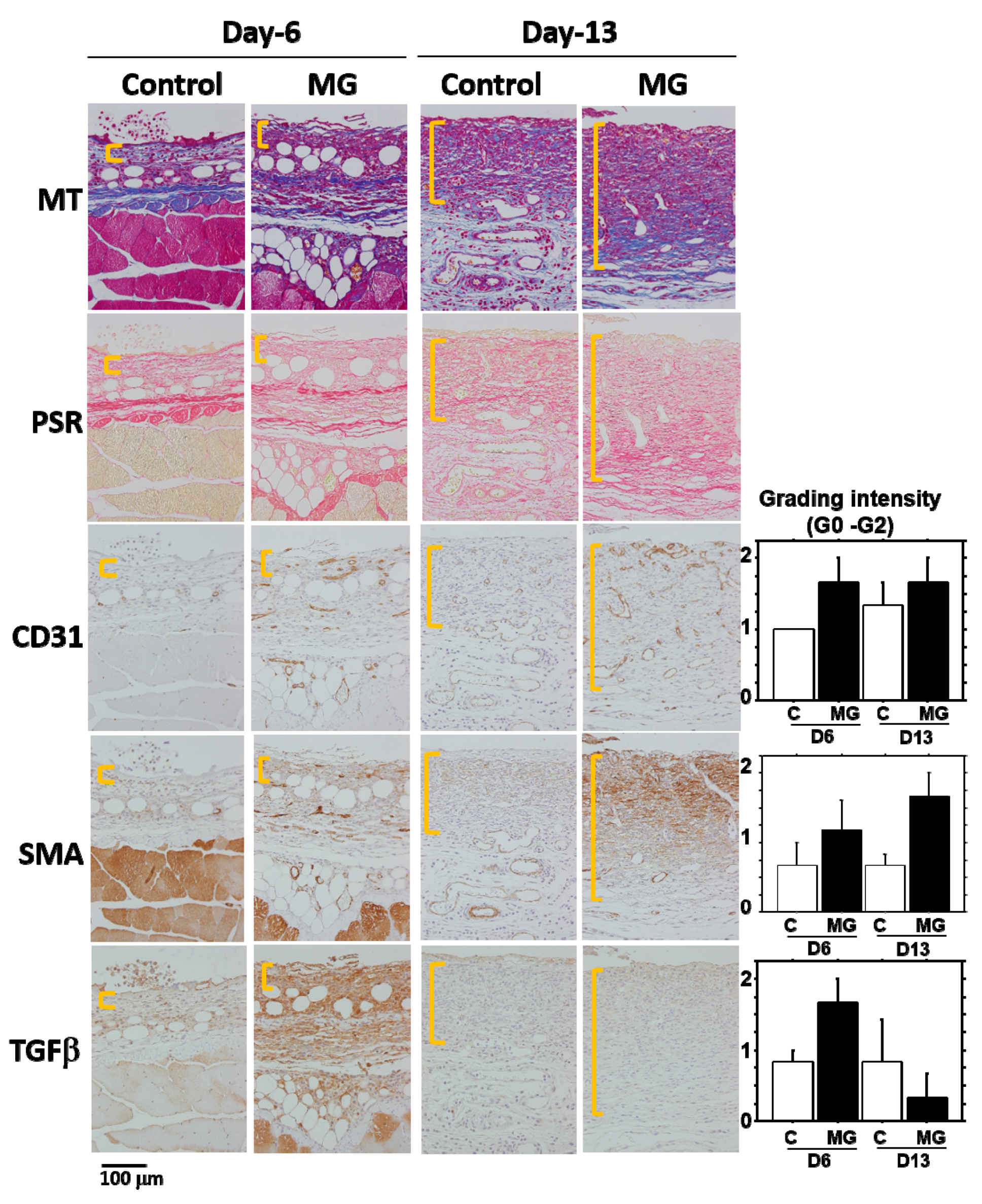 Ijms 18 01675 g007 550