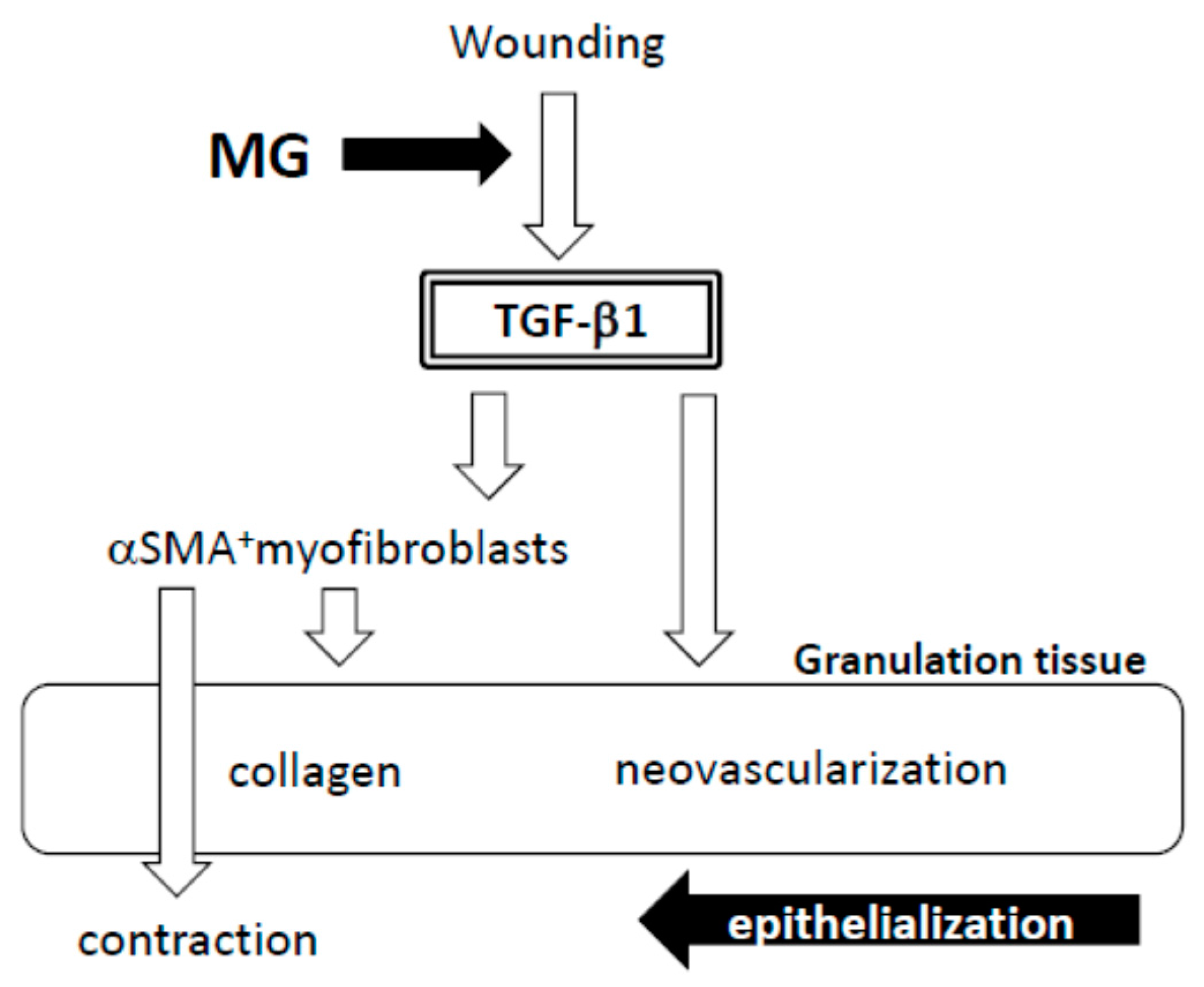 Ijms 18 01675 g008 550