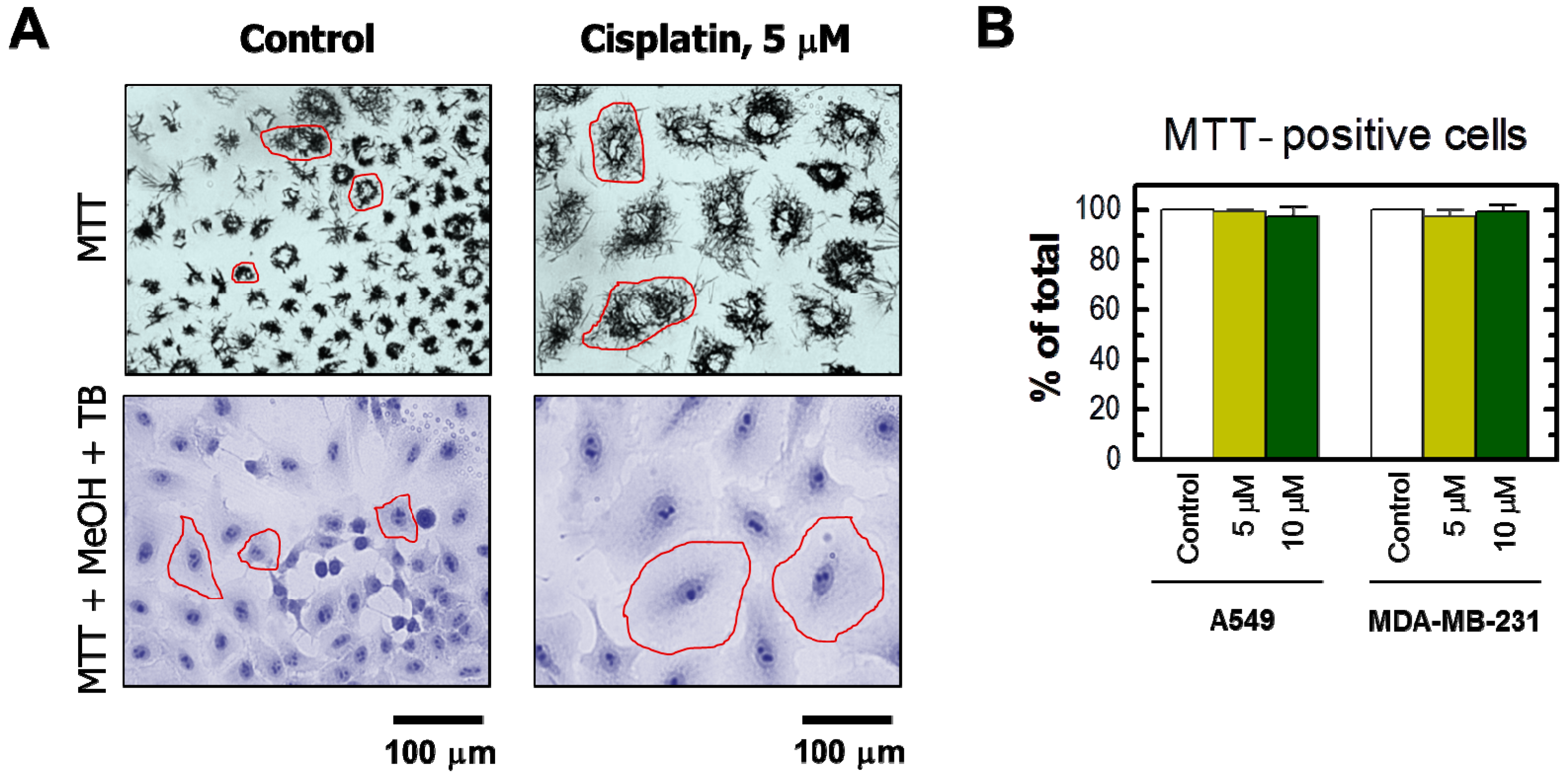 Ijms 18 01679 g002 550