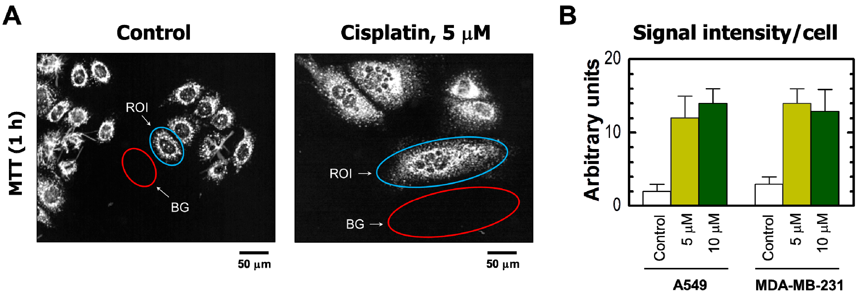 Ijms 18 01679 g003 550