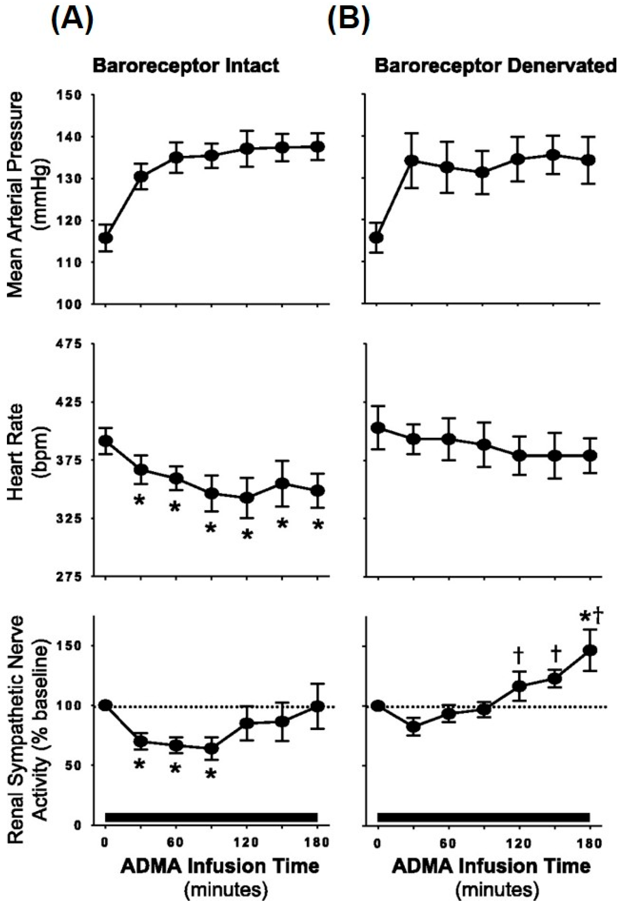 Ijms 18 01682 g004 550