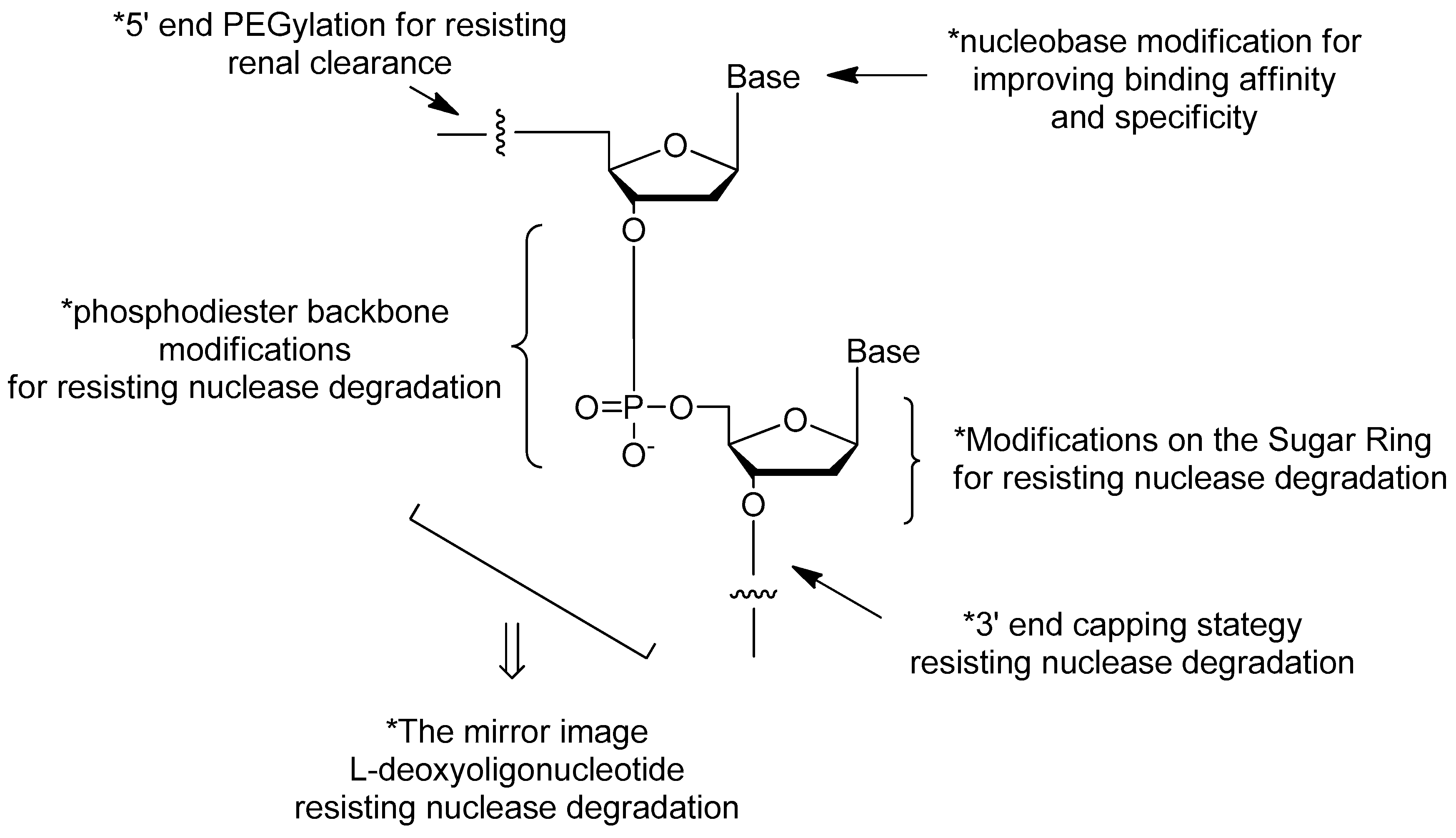 Ijms 18 01683 g001 550