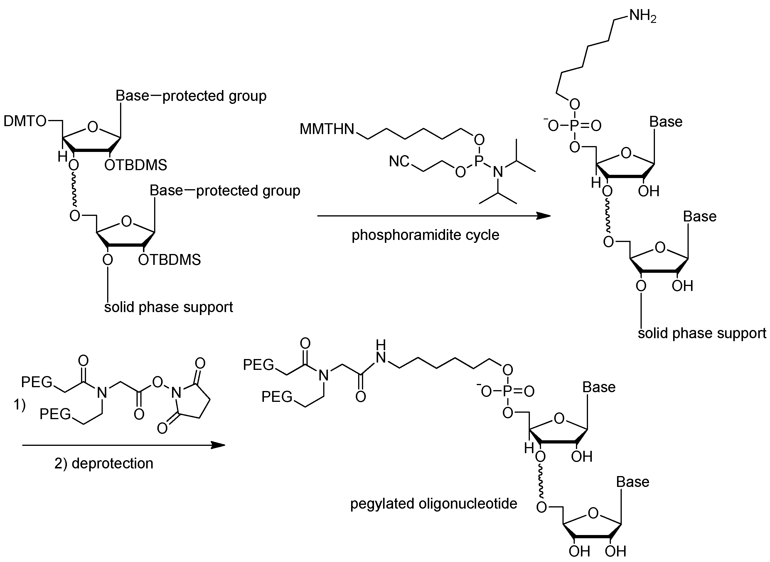 Ijms 18 01683 g014 550