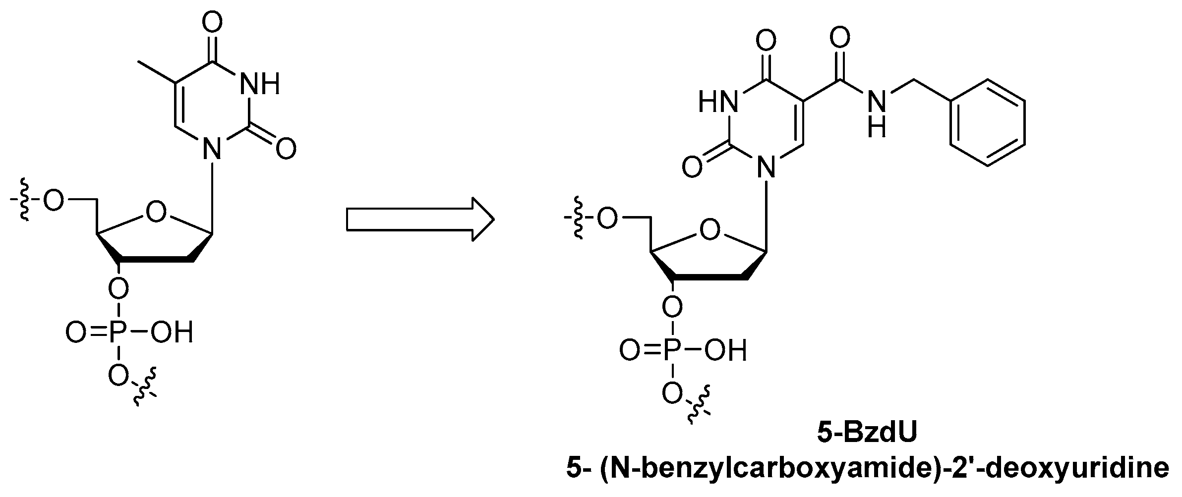 Ijms 18 01683 g016 550