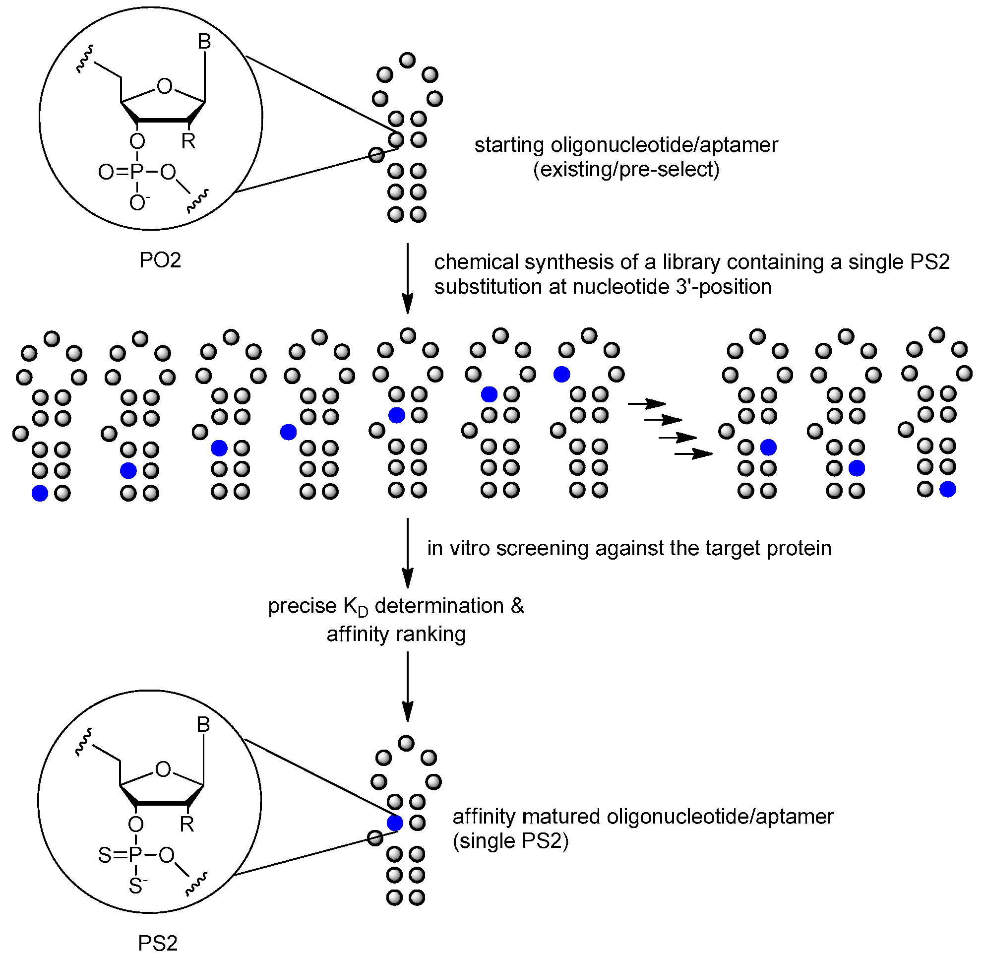 Ijms 18 01683 g018 550