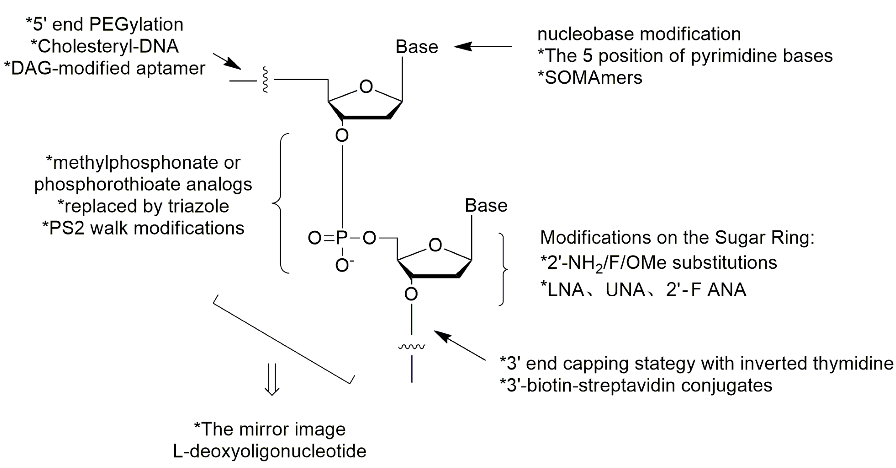 Ijms 18 01683 g019 550
