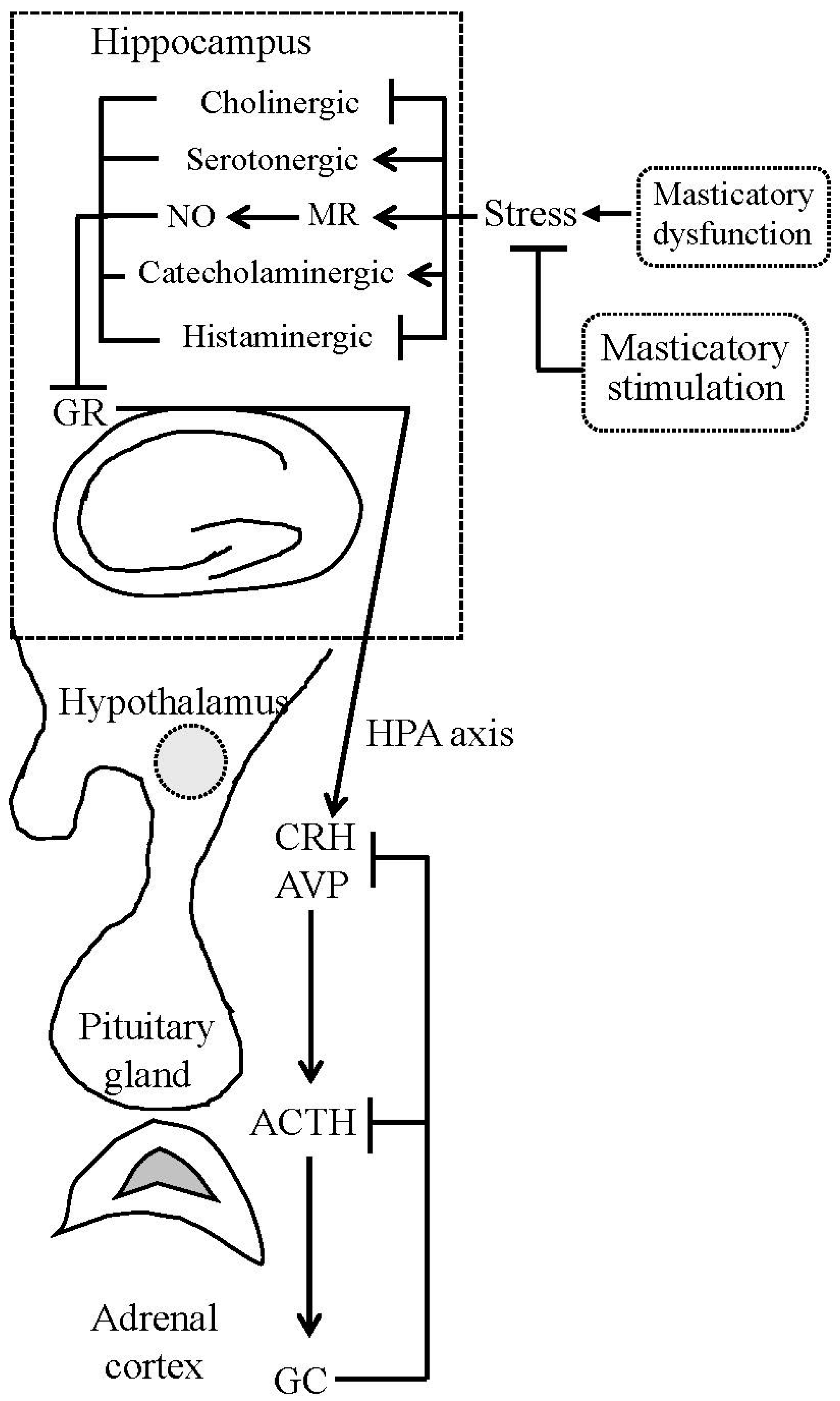 Ijms 18 01687 g001