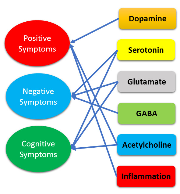 Ijms Free Full Text Mapping The Schizophrenia Genes By Neuroimaging
