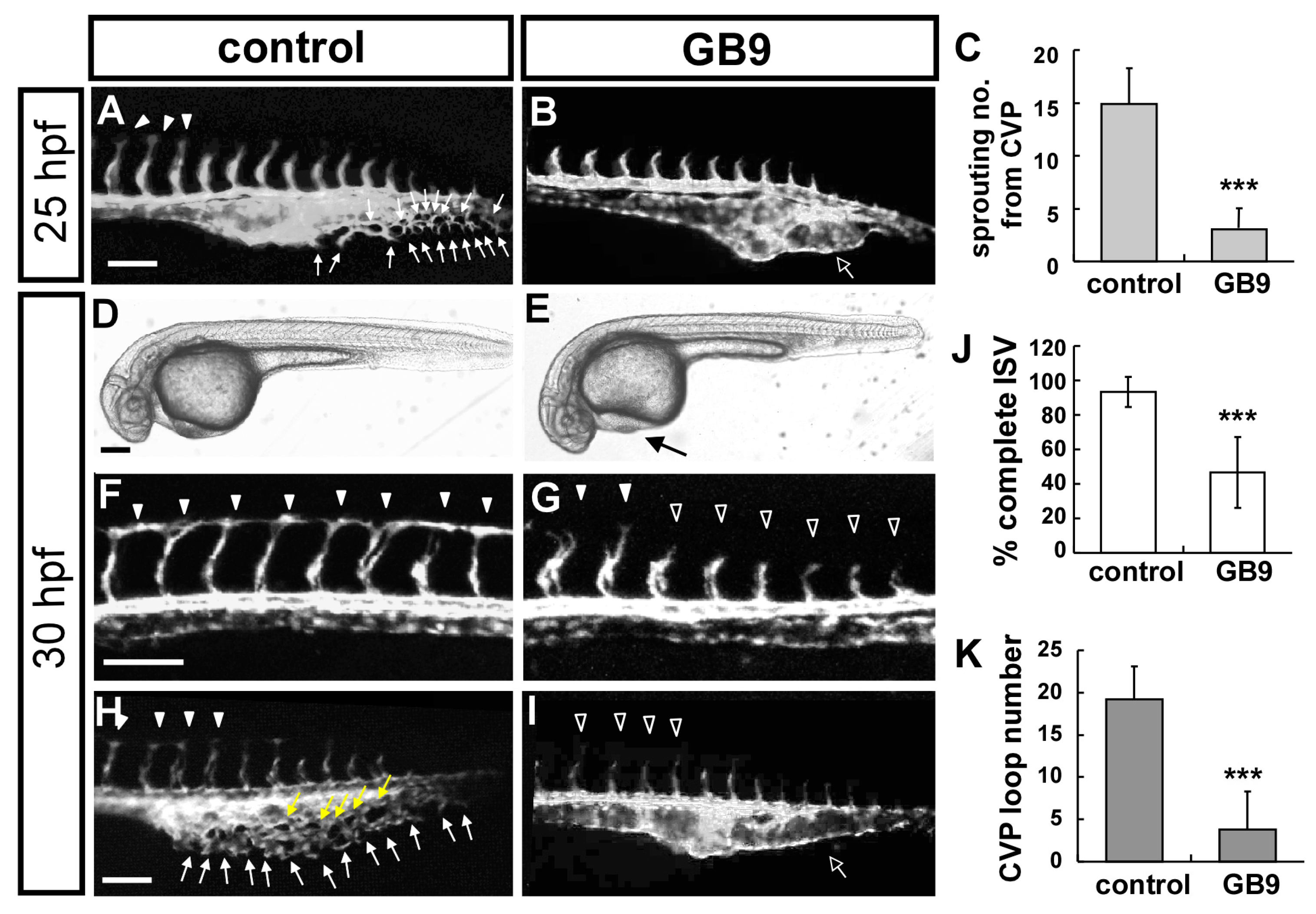 Ijms 18 01696 g002 550