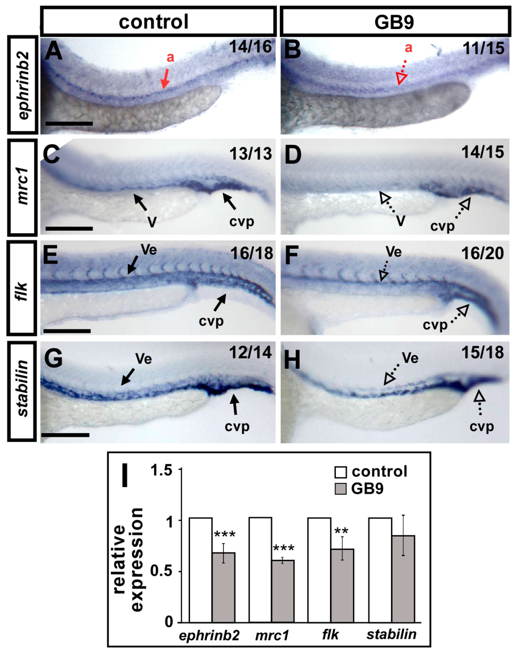 Ijms 18 01696 g005 550