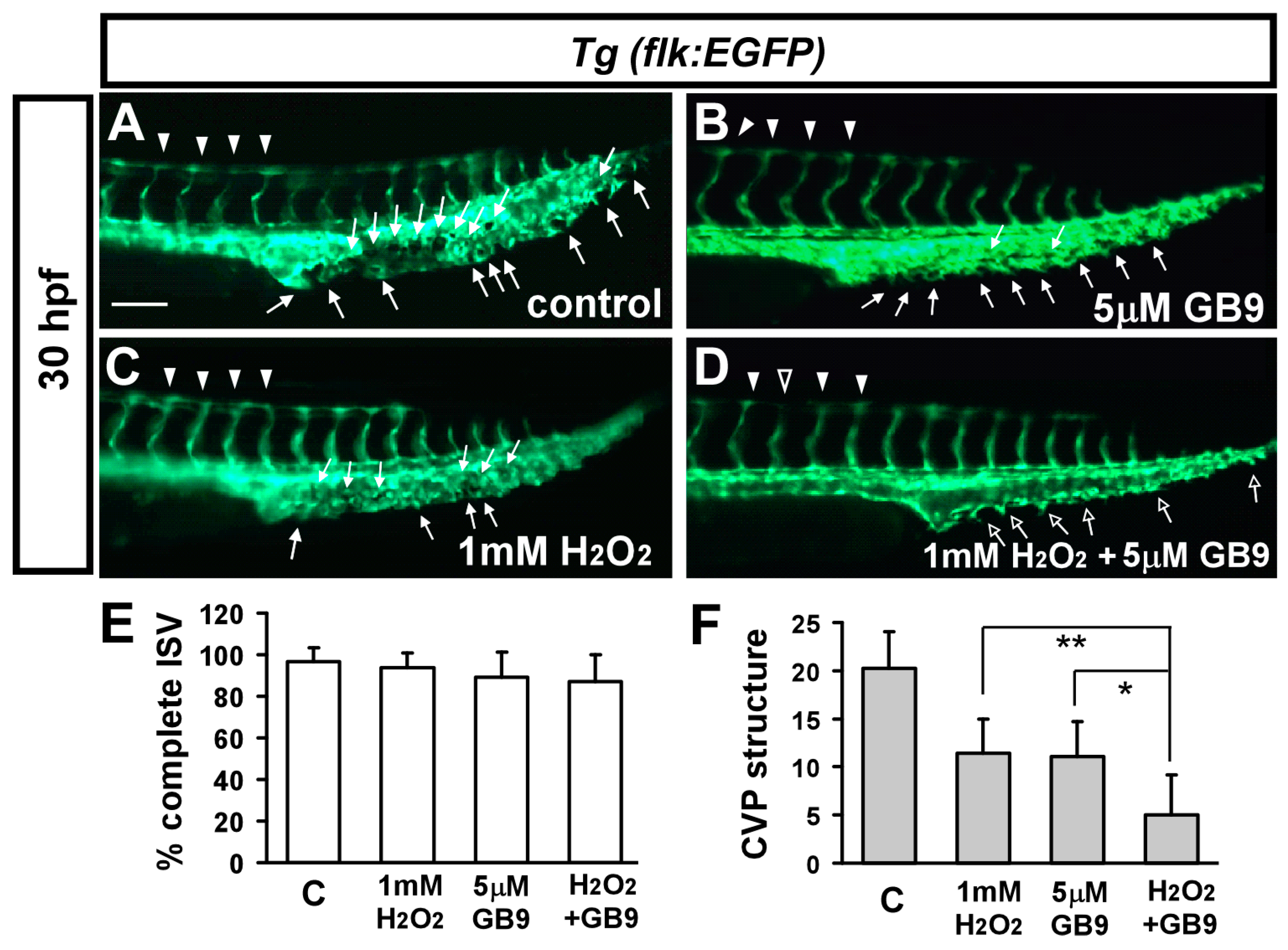 Ijms 18 01696 g006 550