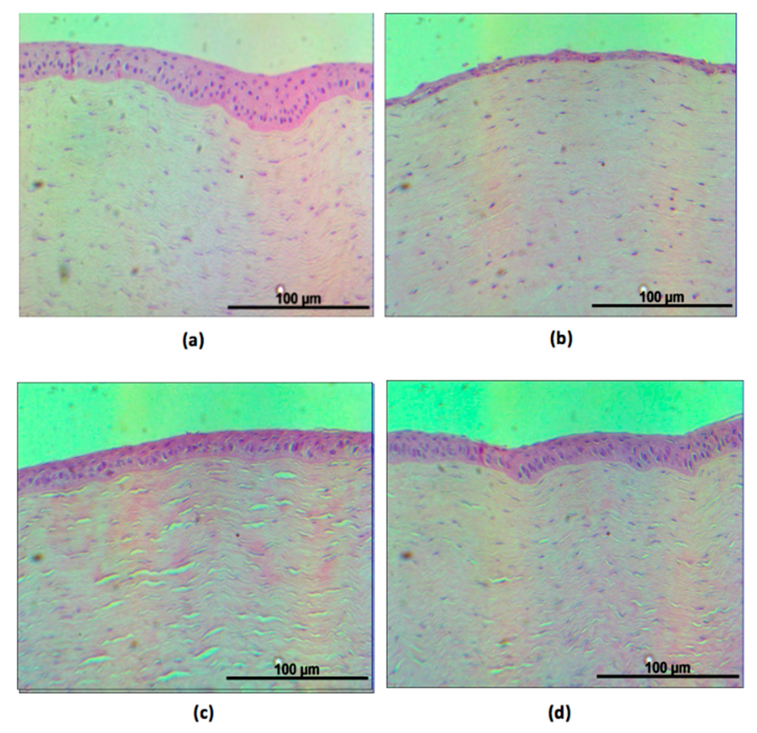 Ijms 18 01697 g007 550