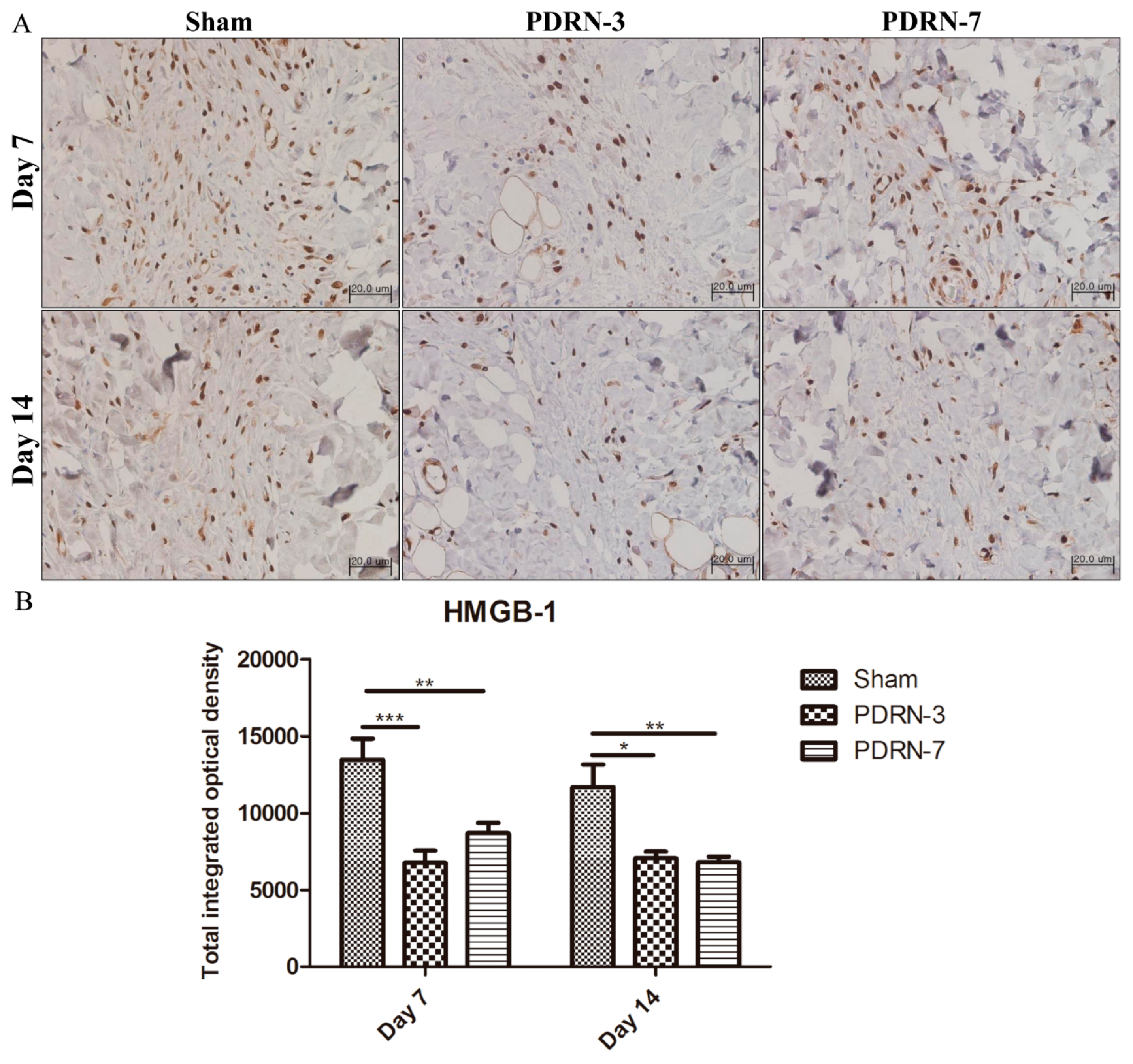 Ijms 18 01698 g004 550