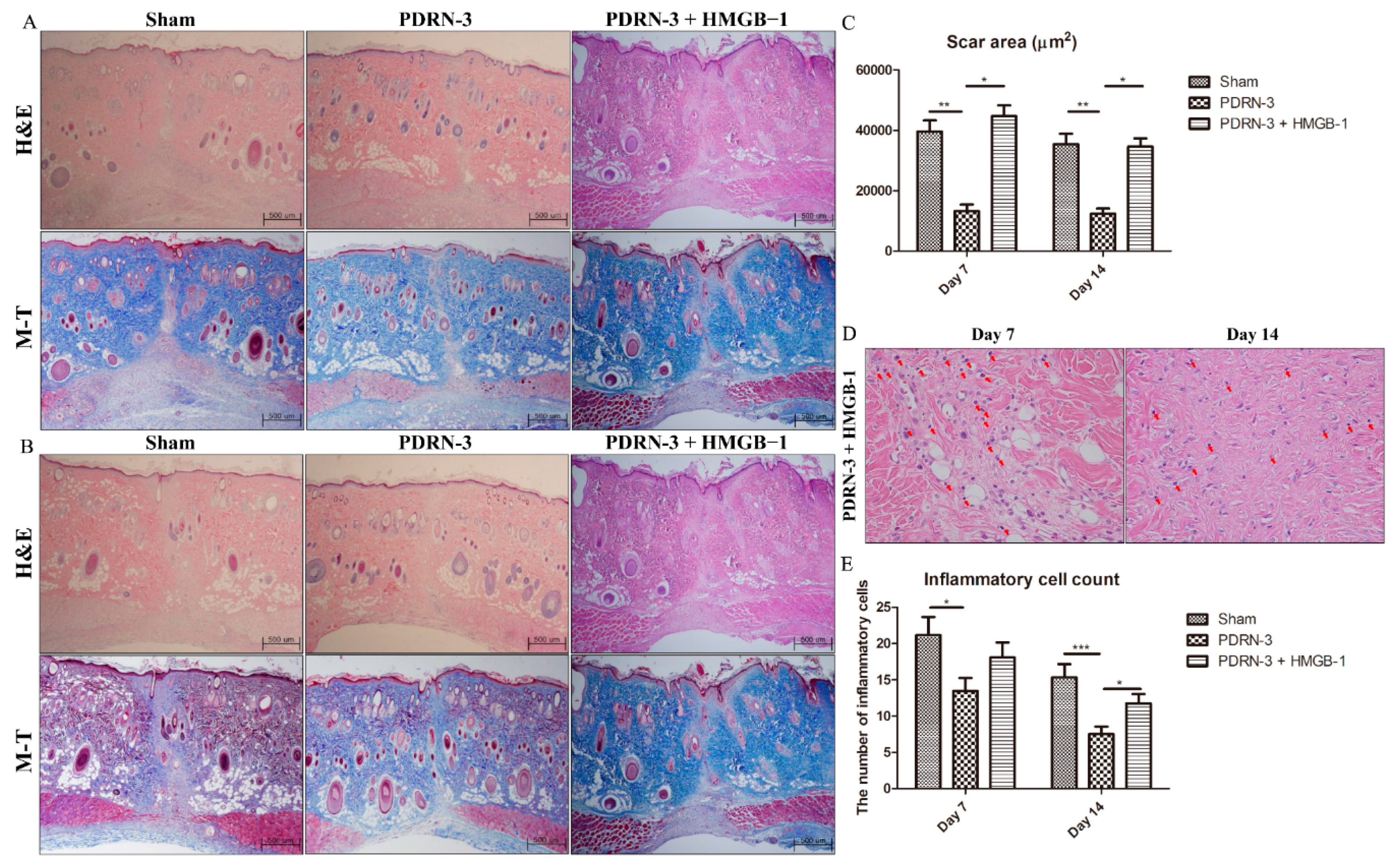 Ijms 18 01698 g005 550