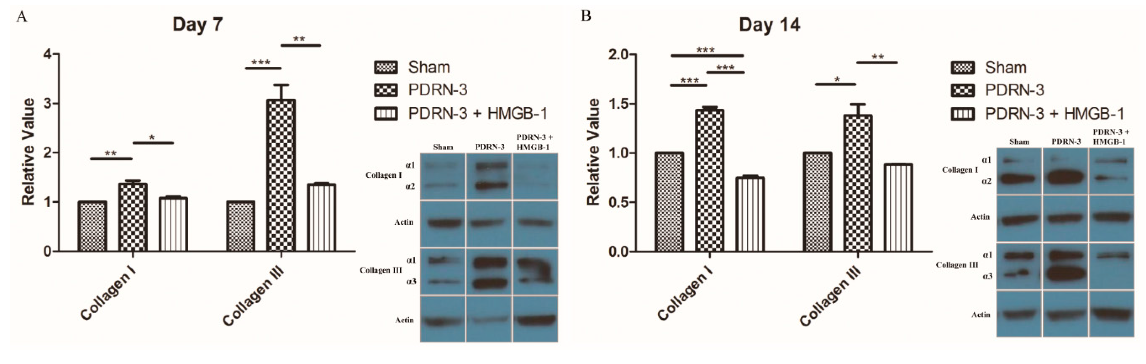 Ijms 18 01698 g006 550
