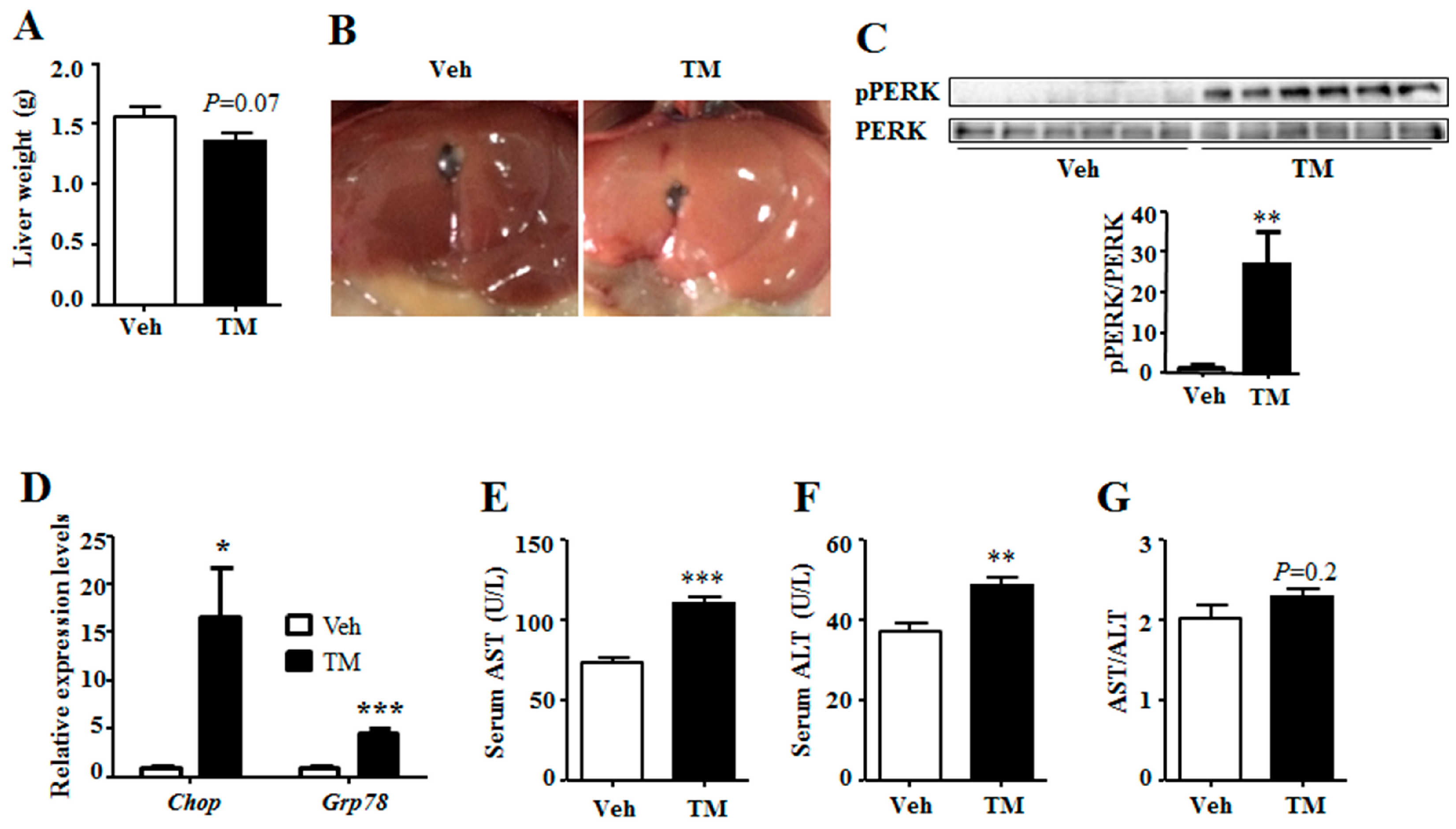 Ijms 18 01710 g001 550