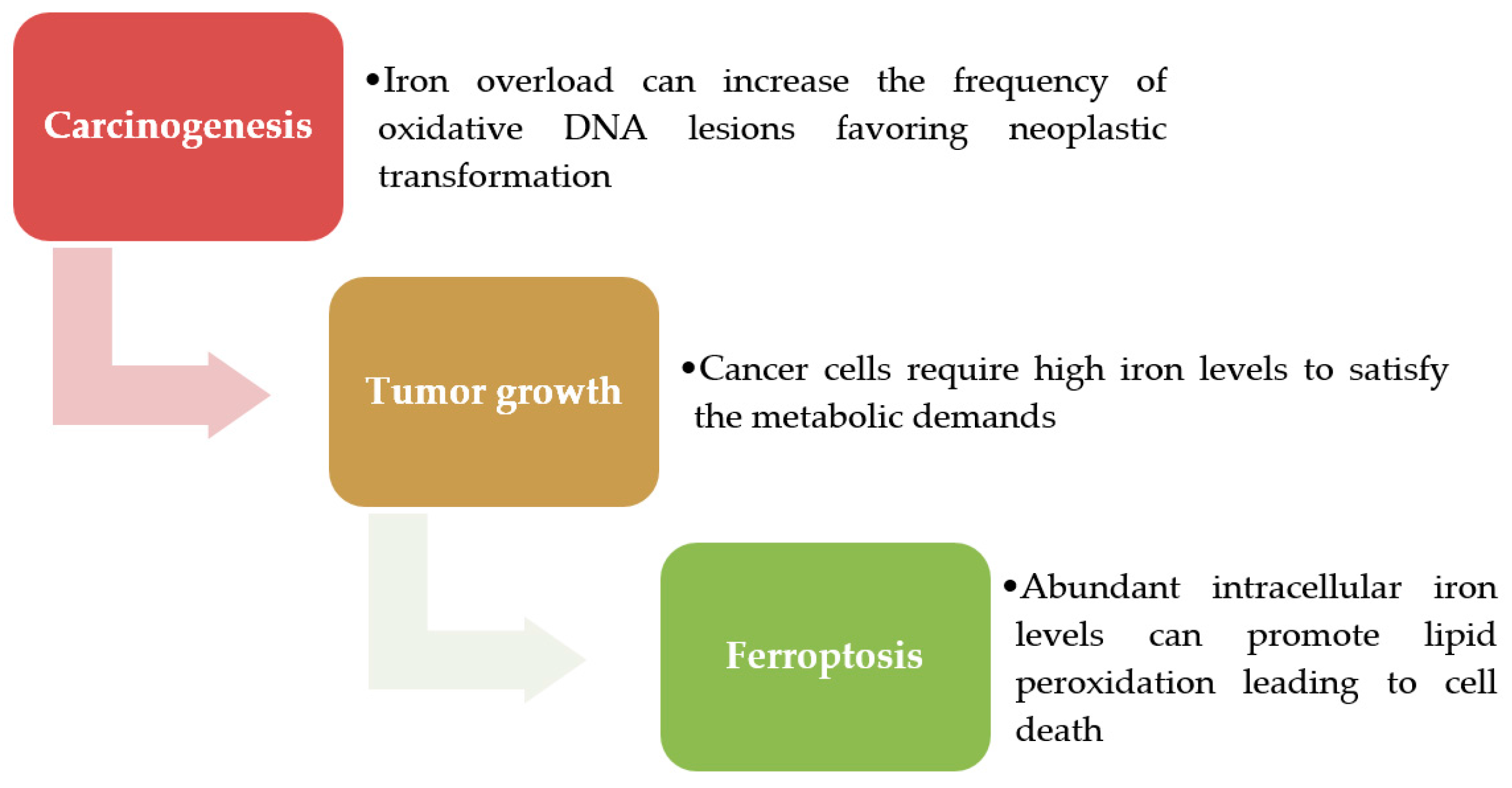 Ijms 18 01718 g001 Ijms 18 01718 g001