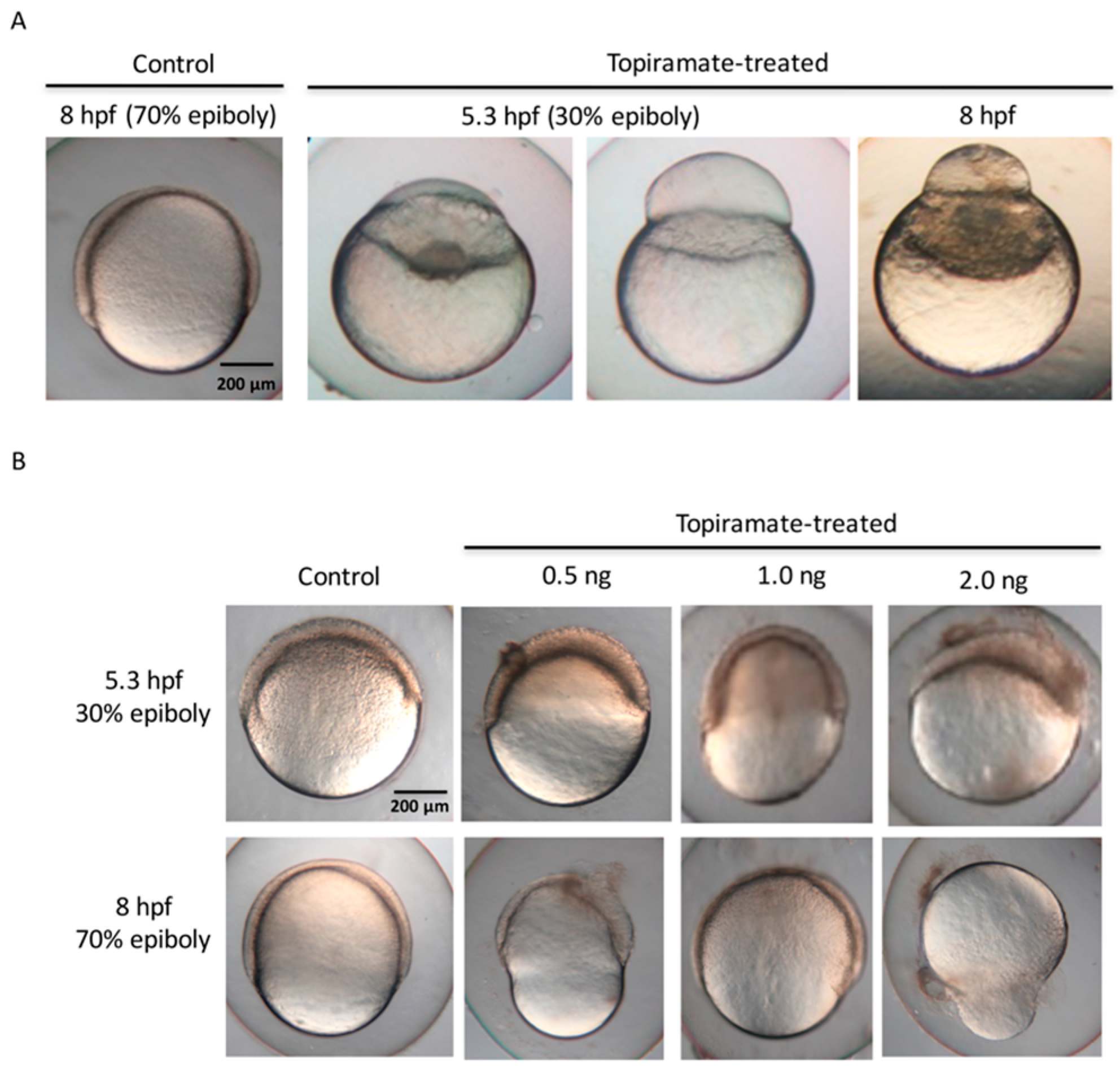 Ijms 18 01721 g002 Ijms 18 01721 g002